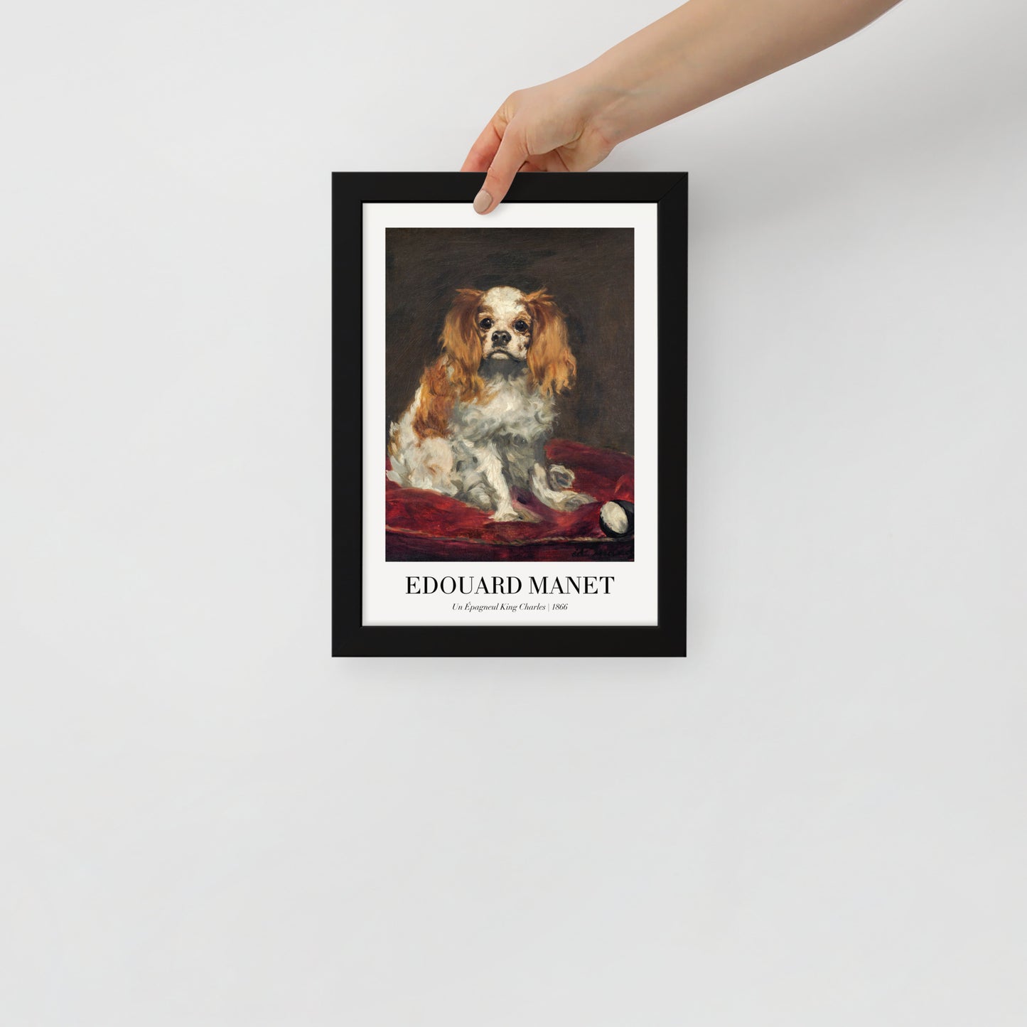 A King Charles Spaniel