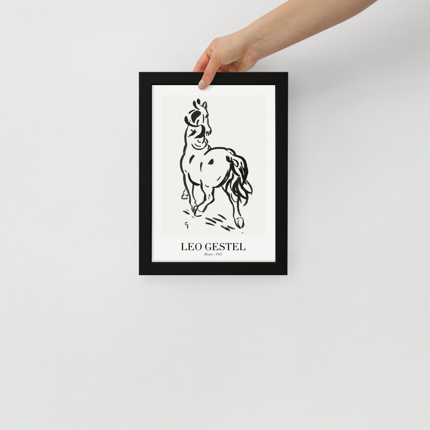horse