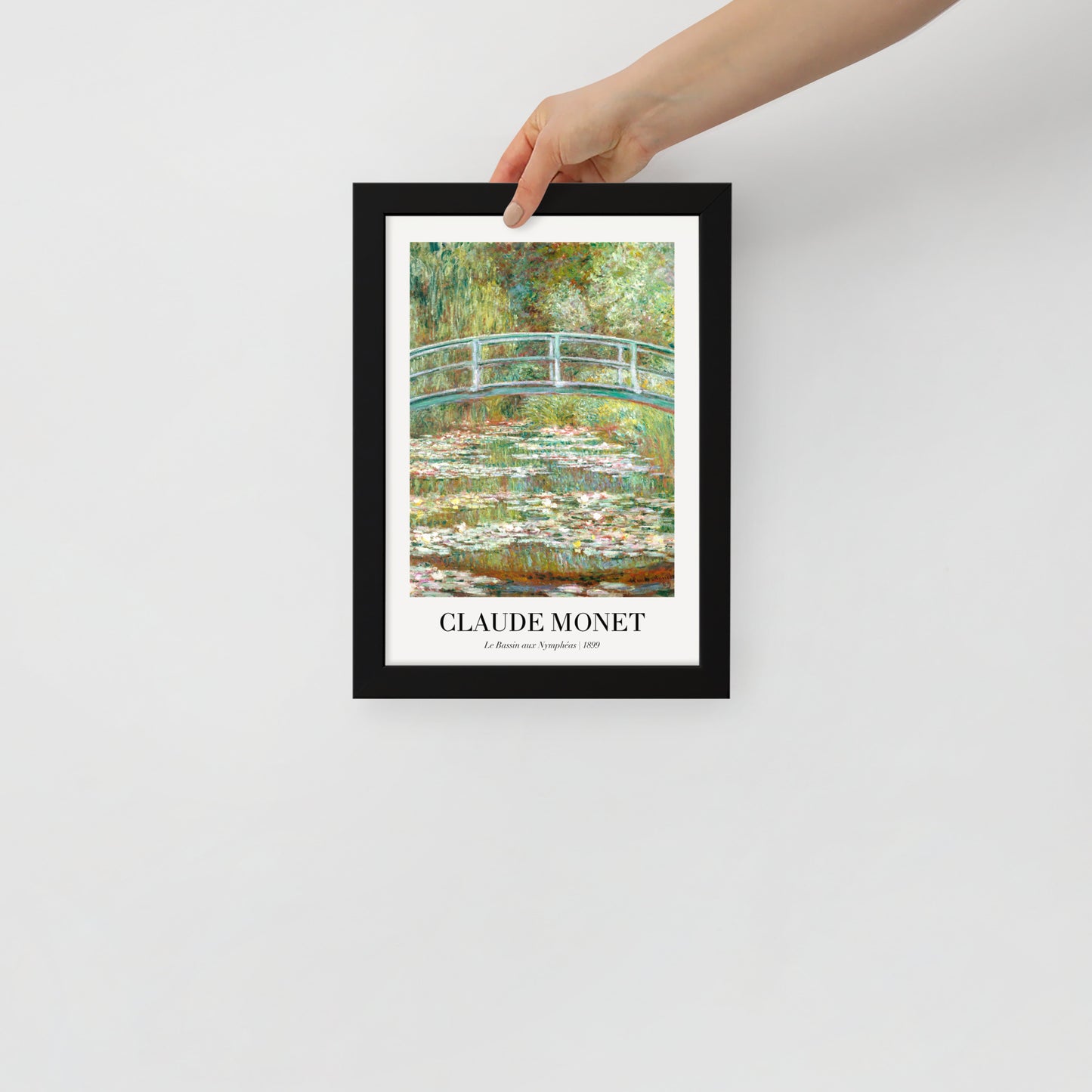 Water Lily Pond