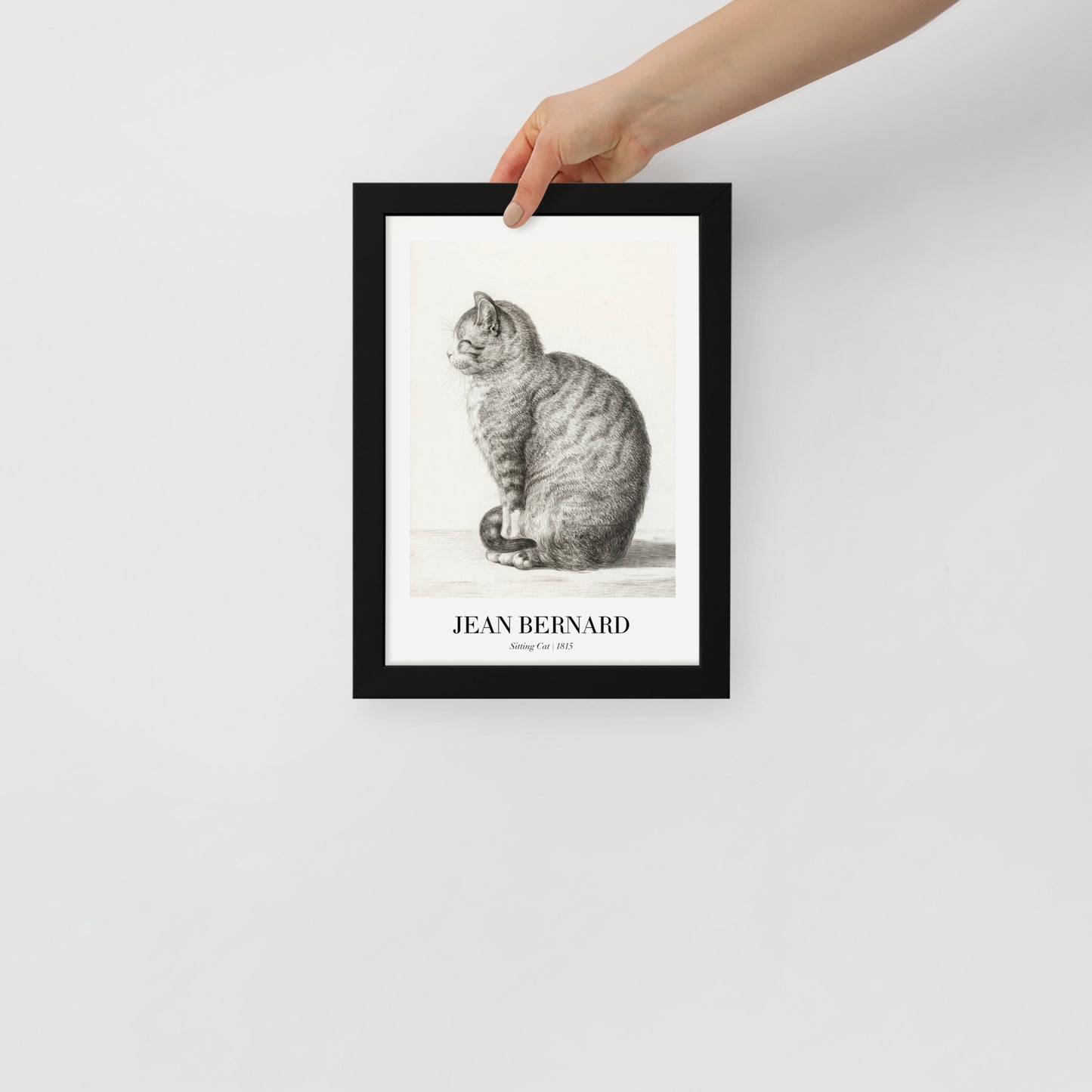 Sitzende Katze
