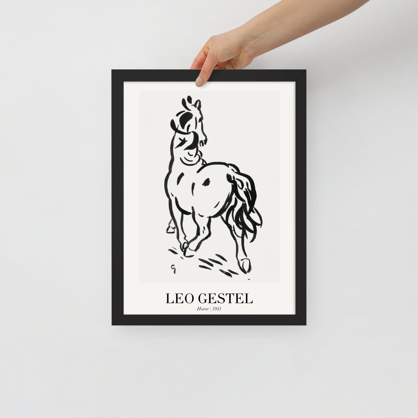 horse