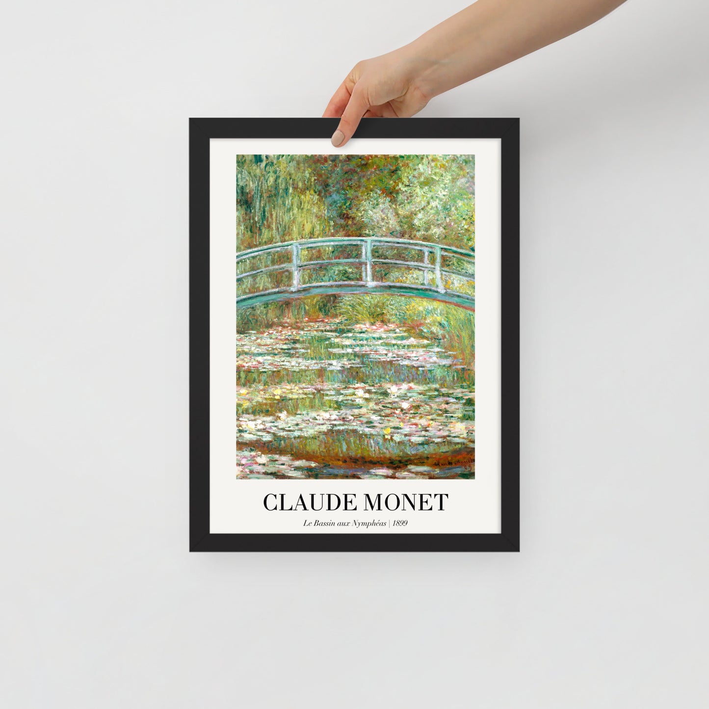 Water Lily Pond