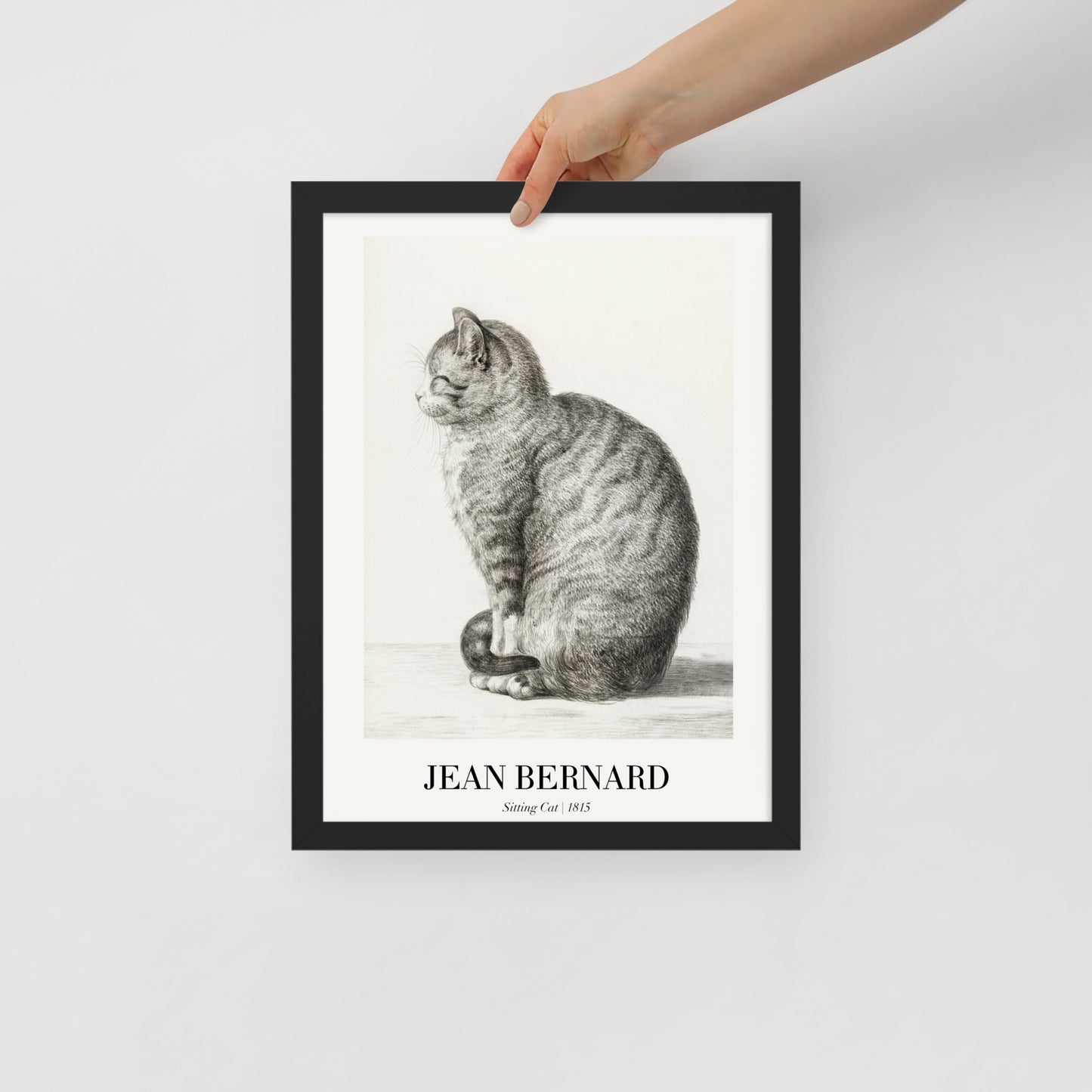 Sitzende Katze
