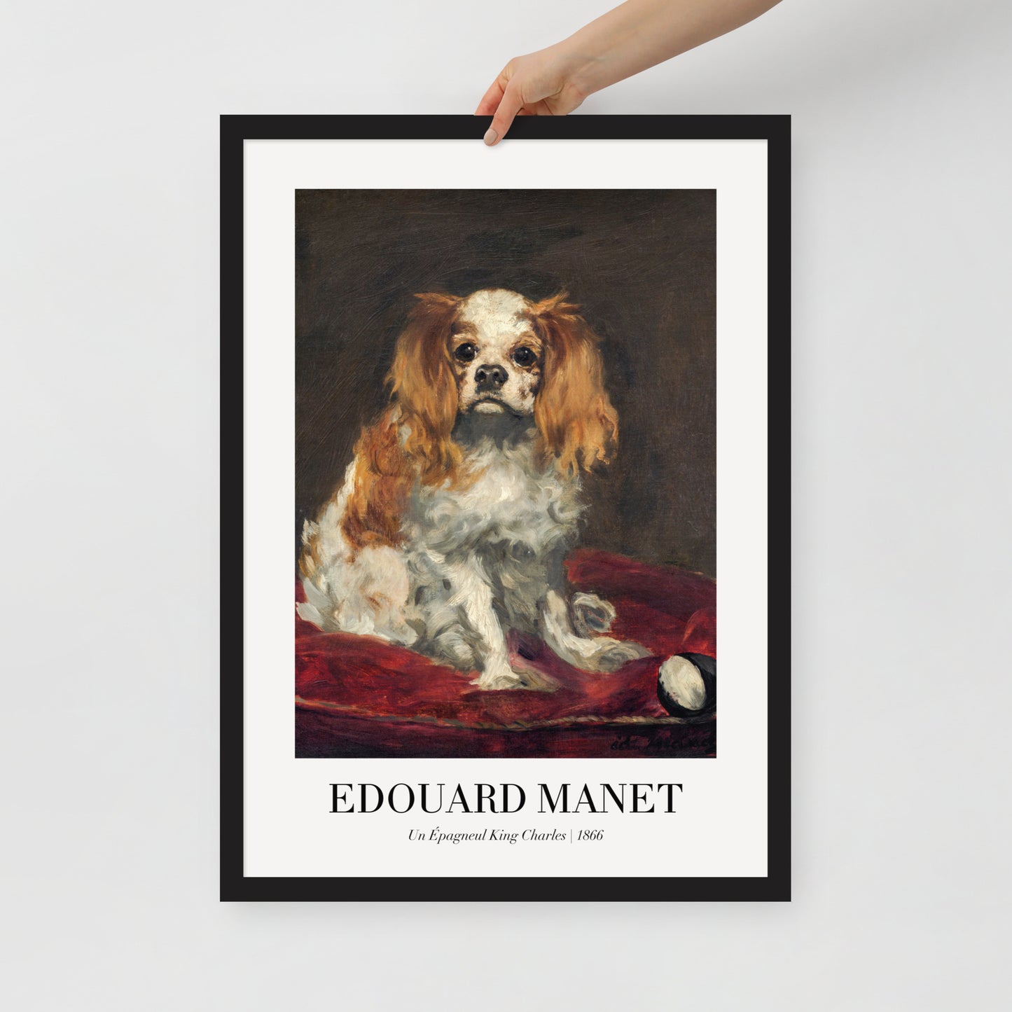 A King Charles Spaniel