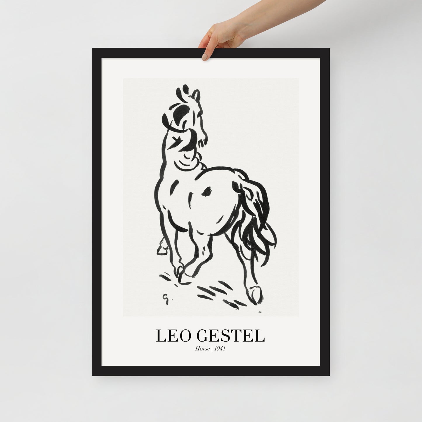 horse