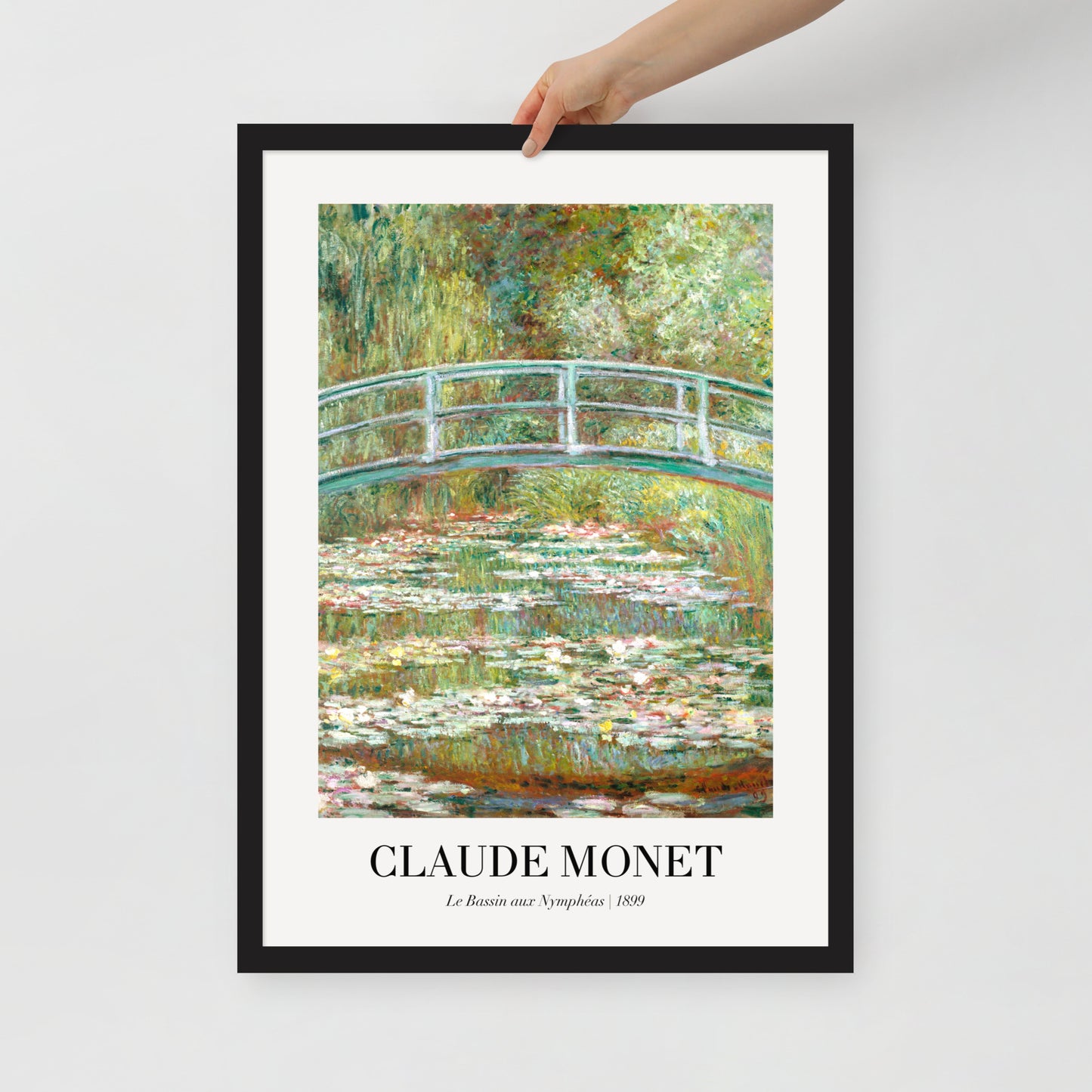 Water Lily Pond