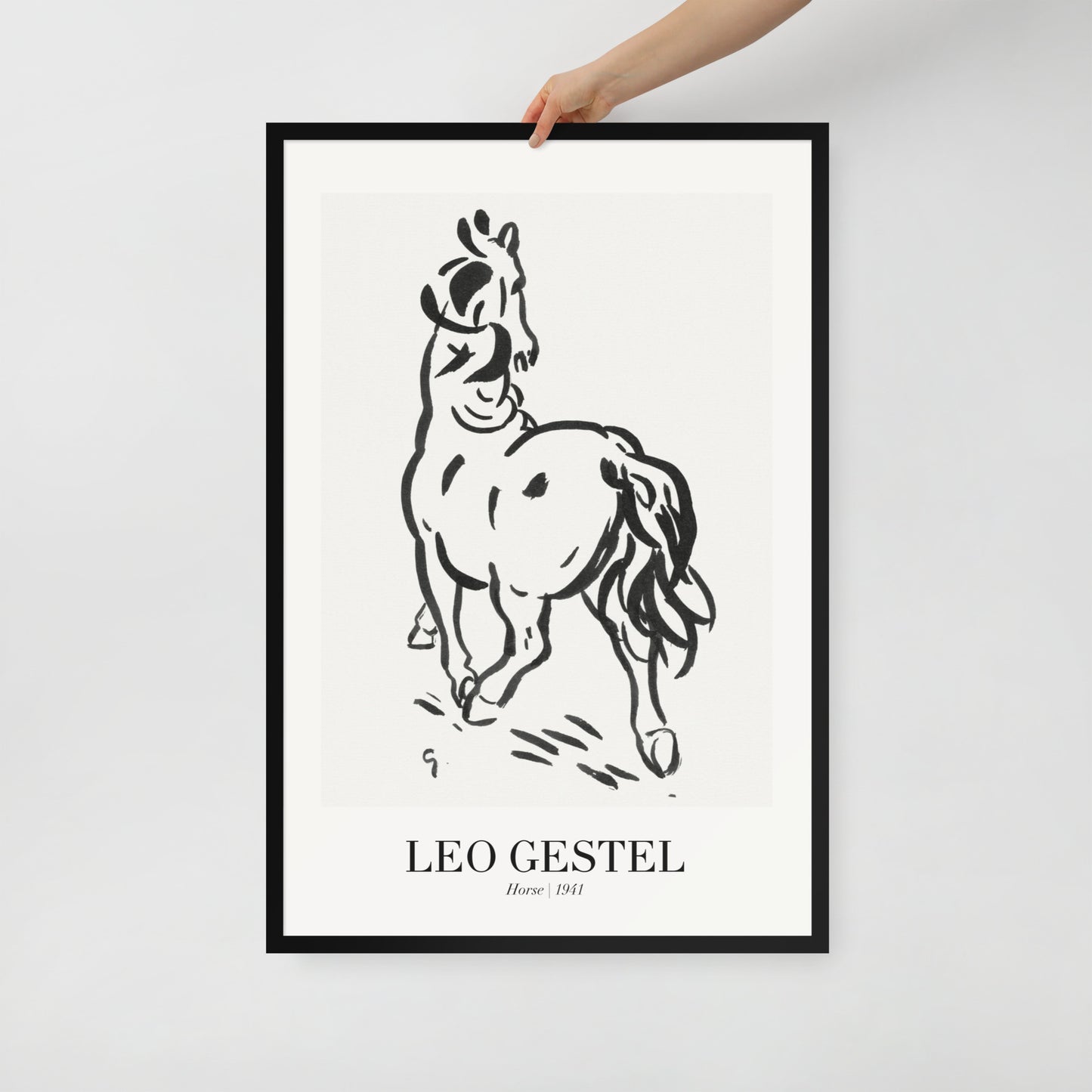horse