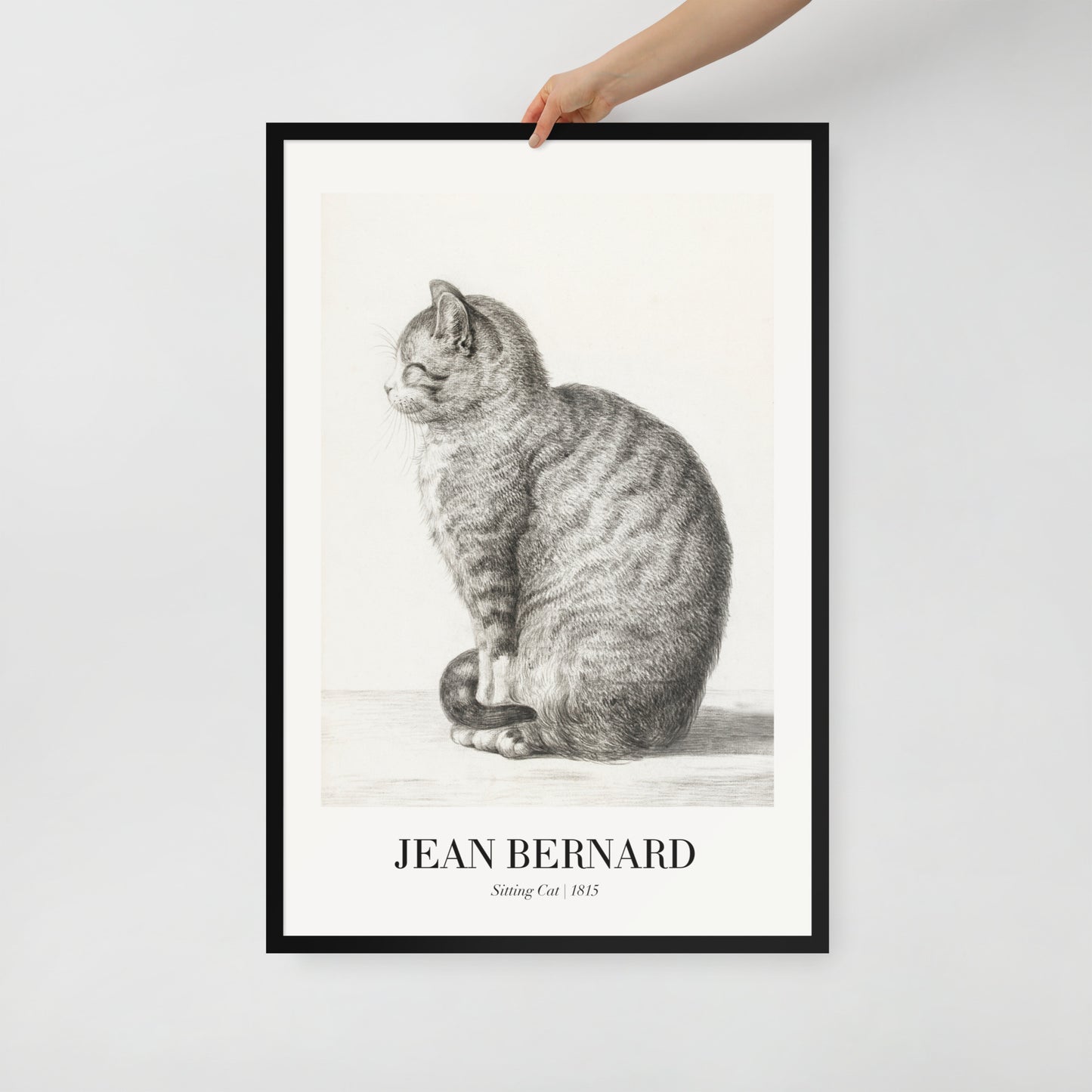 Sitzende Katze