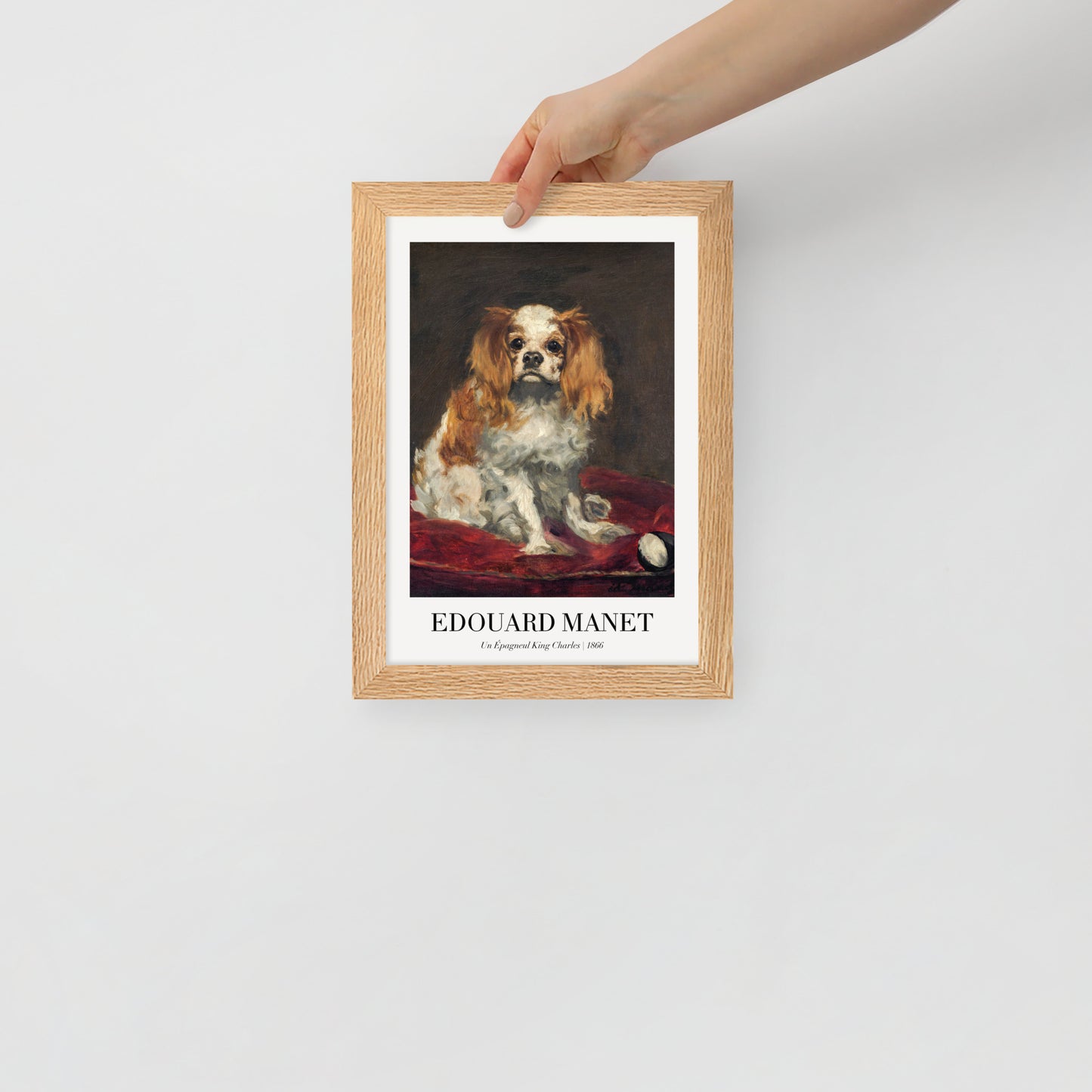 A King Charles Spaniel