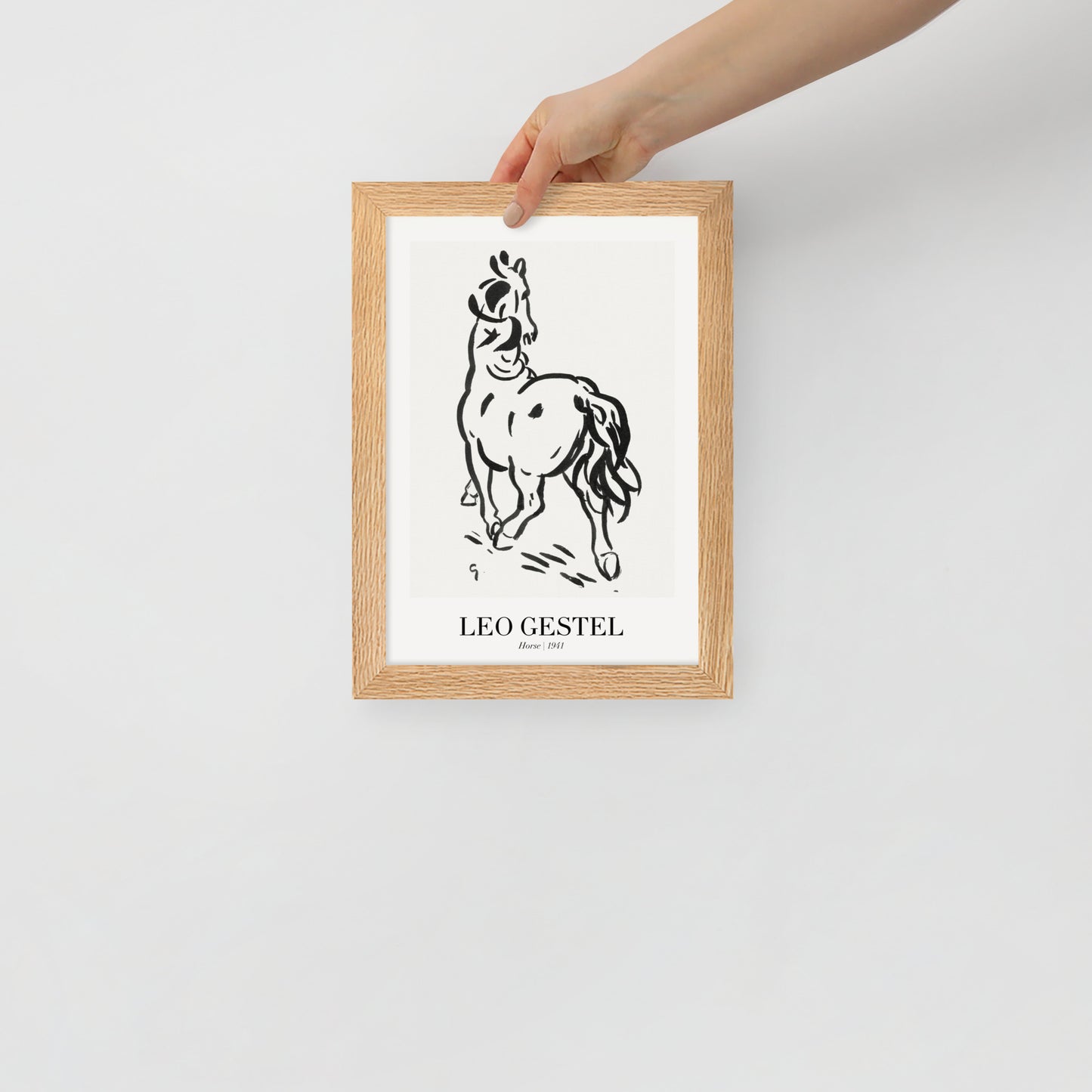 horse