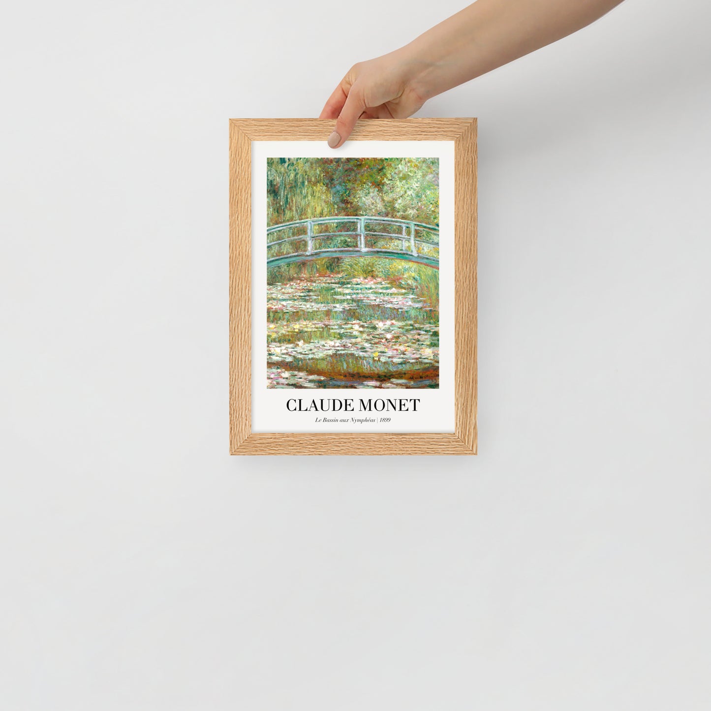 Water Lily Pond