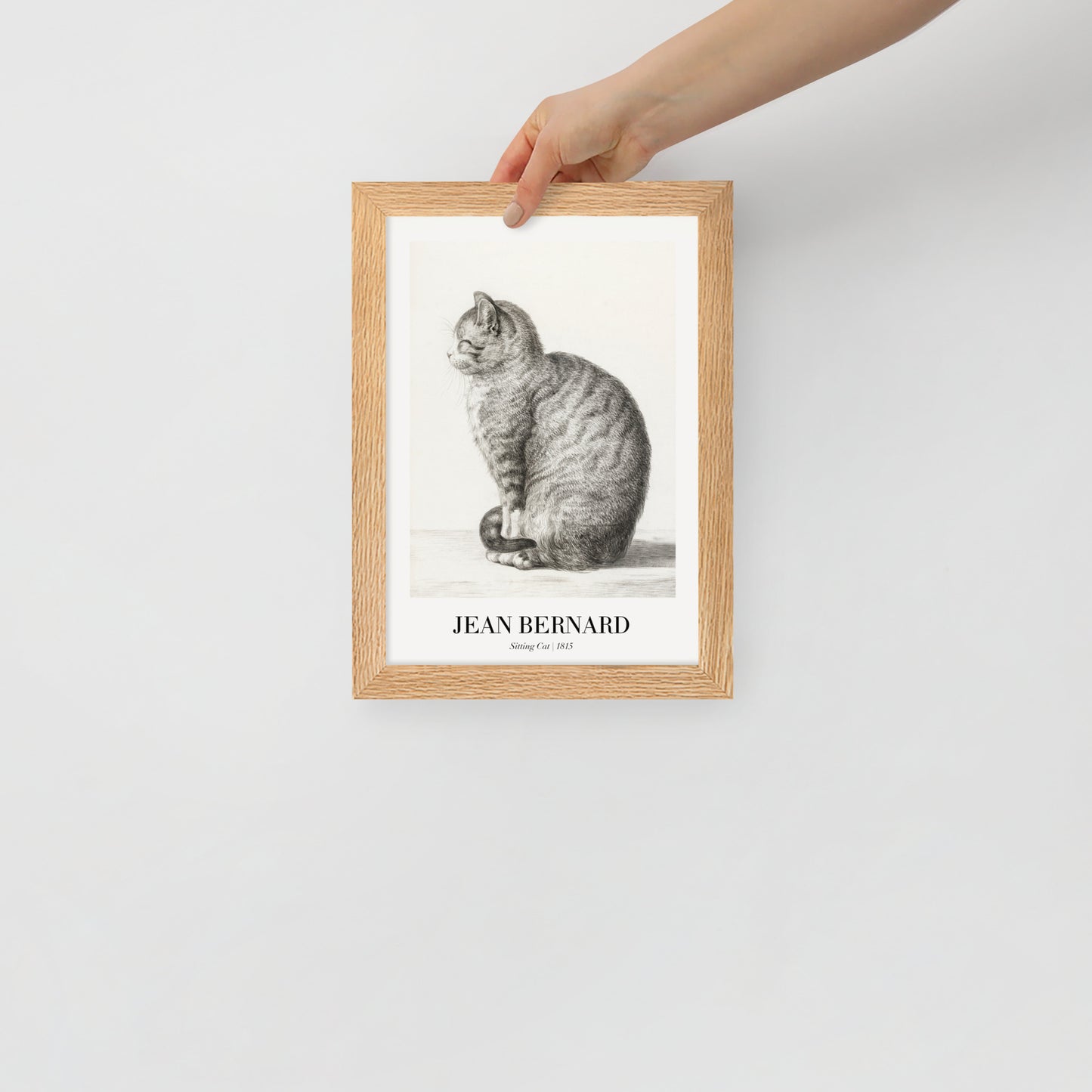 Sitzende Katze