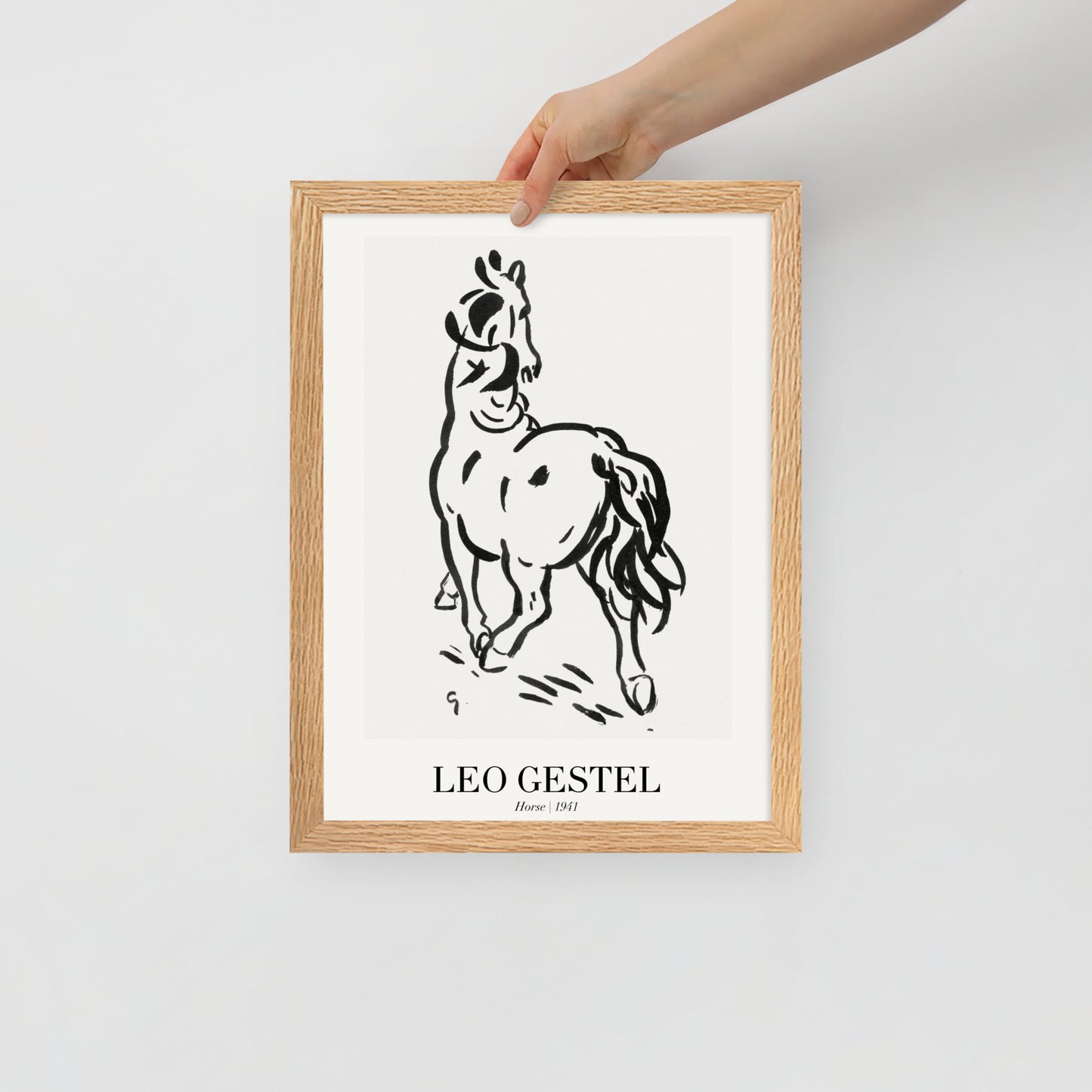 horse