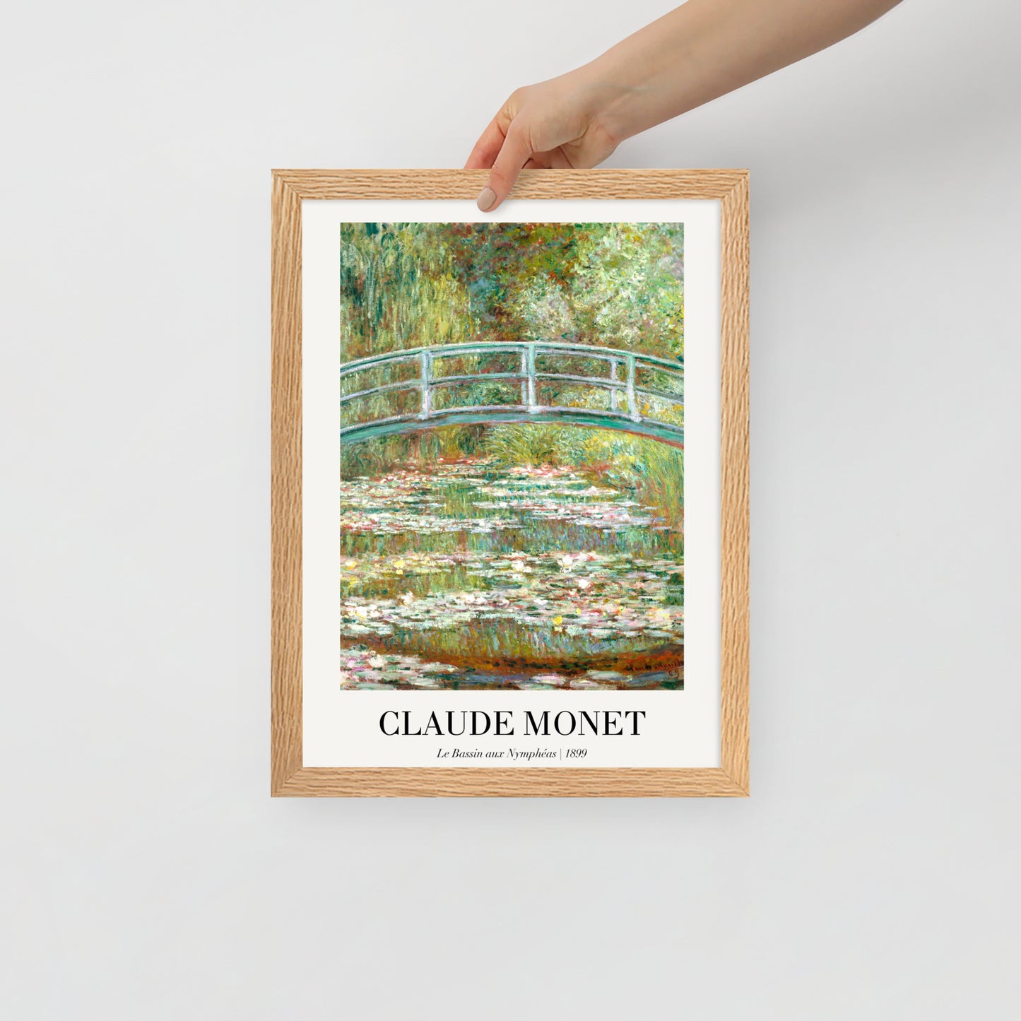 Water Lily Pond