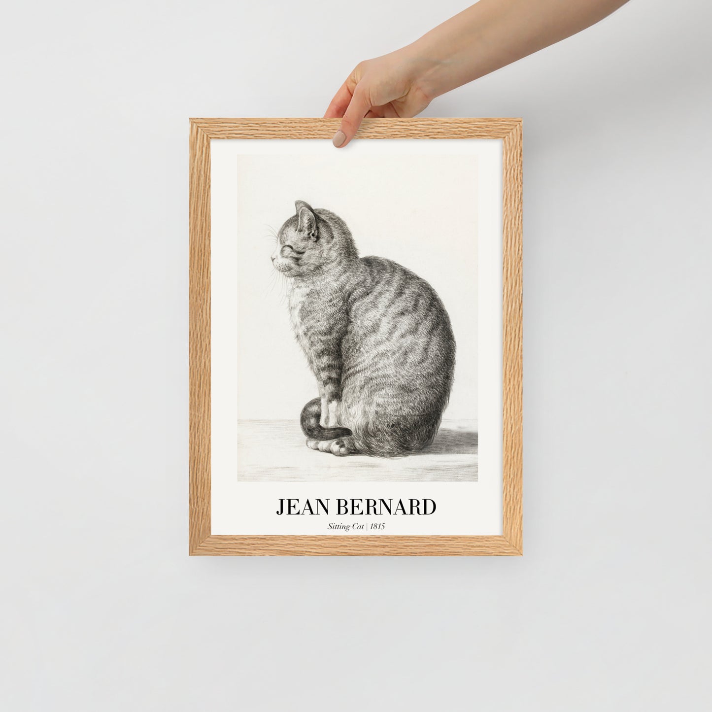 Sitzende Katze