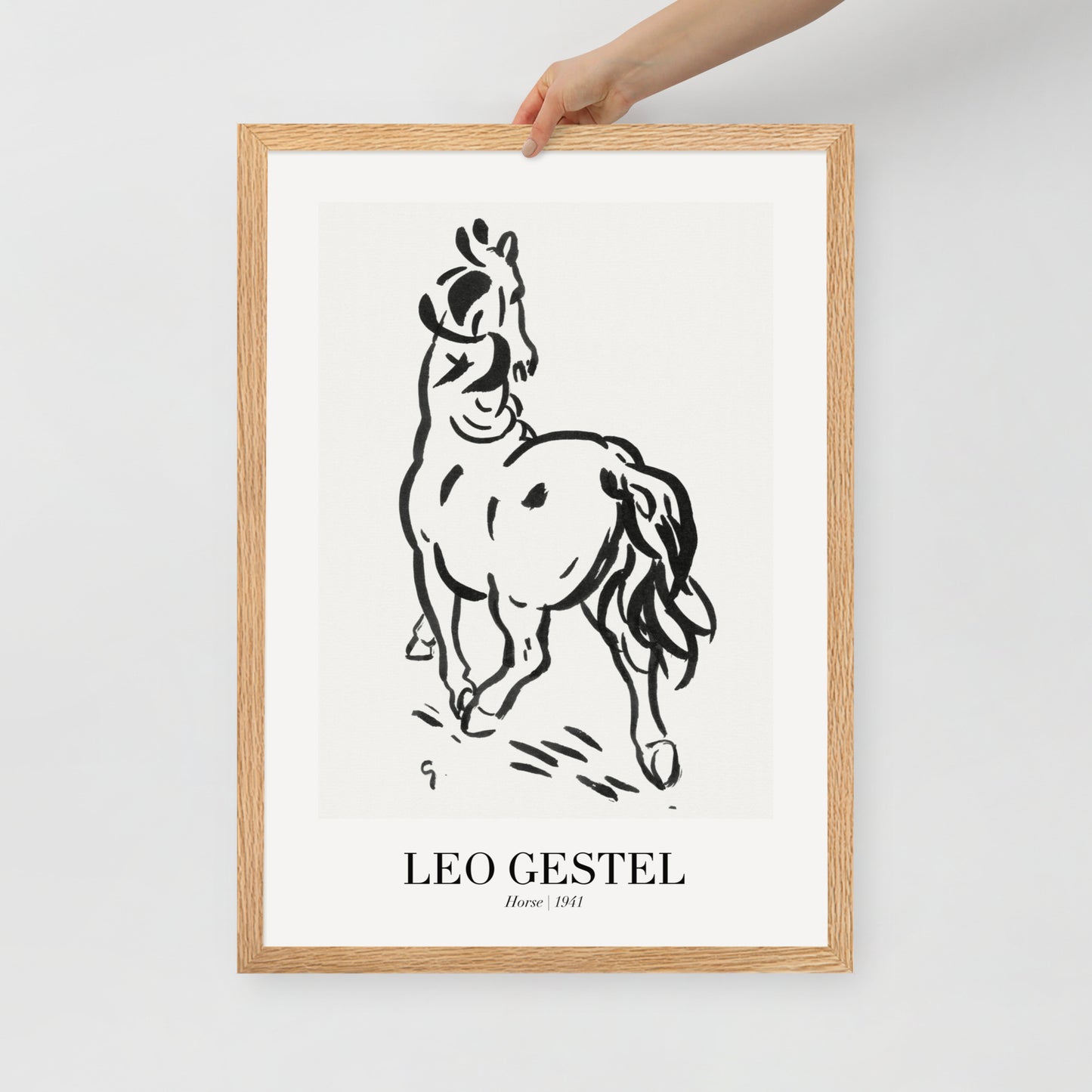 horse