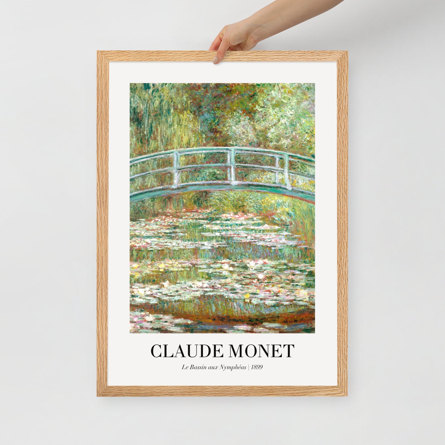 Water Lily Pond