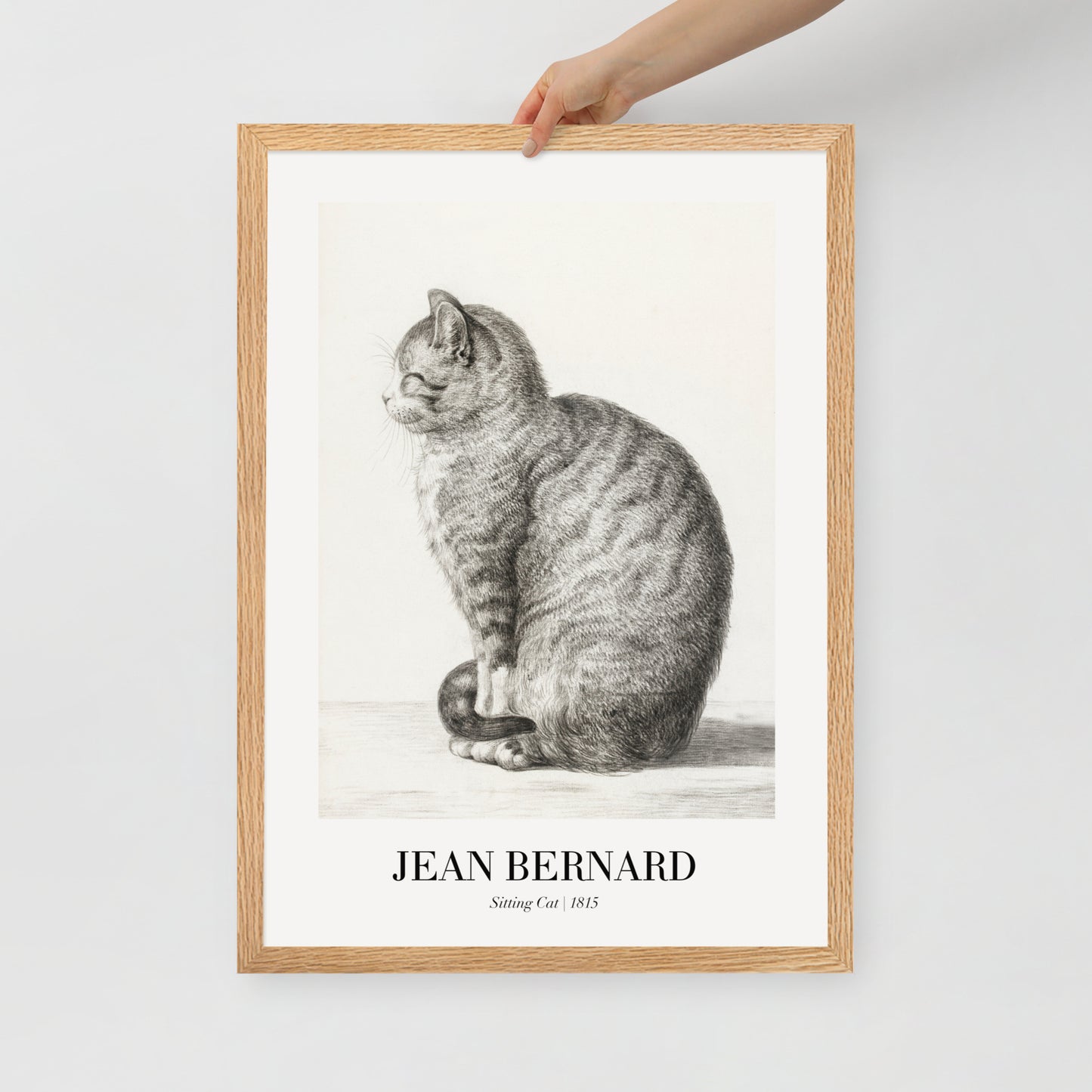 Sitzende Katze
