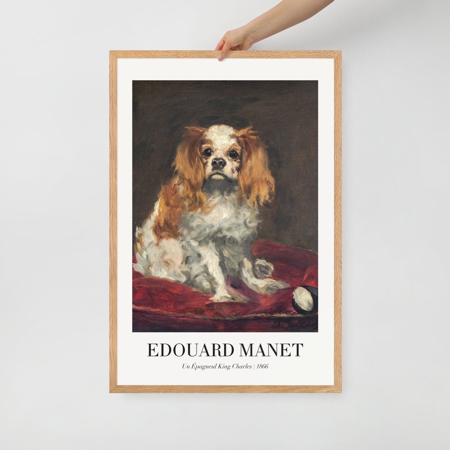 A King Charles Spaniel