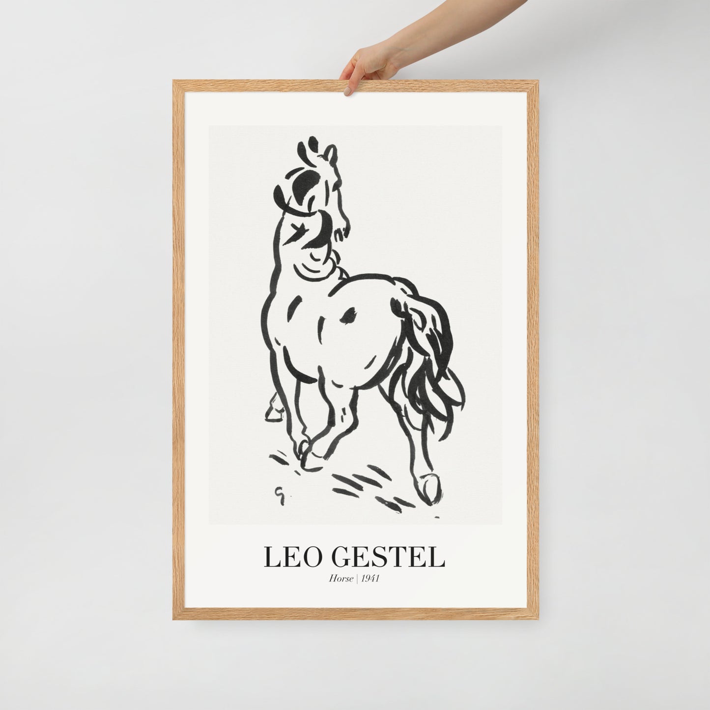 horse