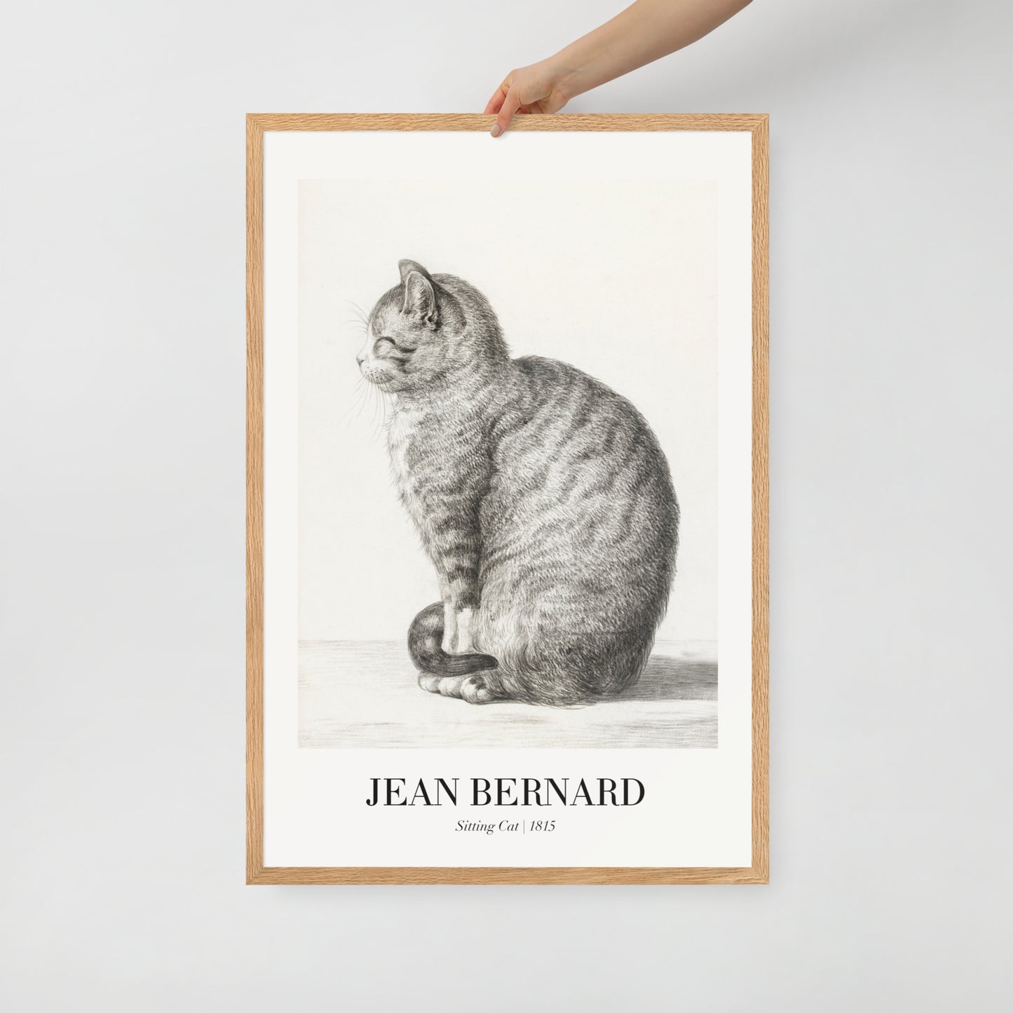 Sitzende Katze