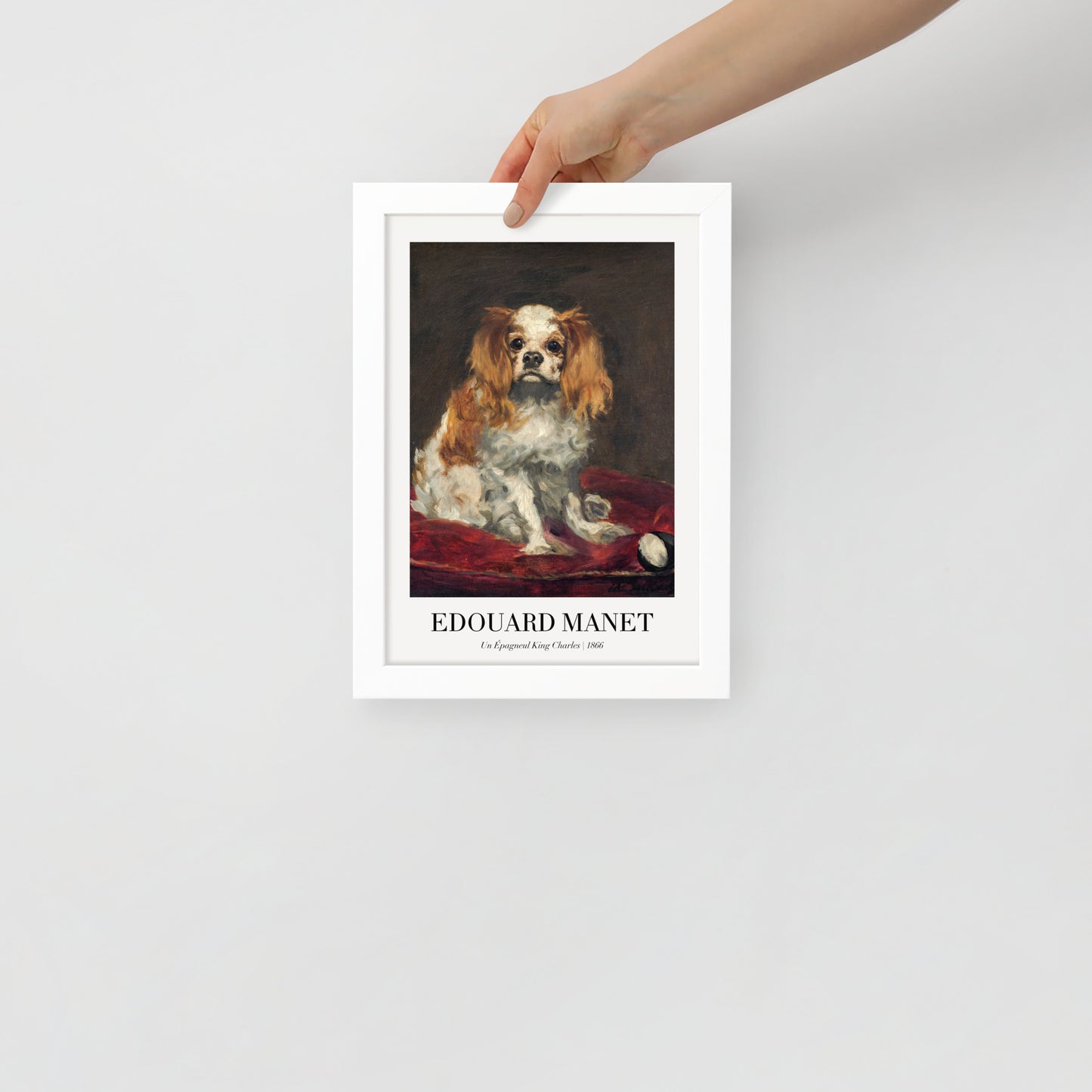 A King Charles Spaniel