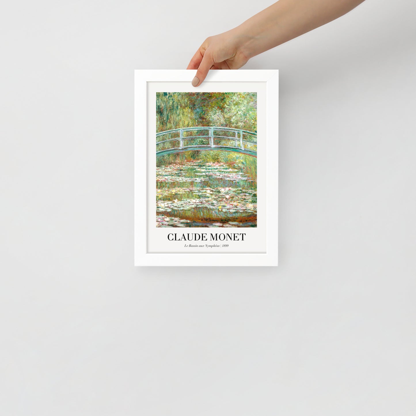 Water Lily Pond