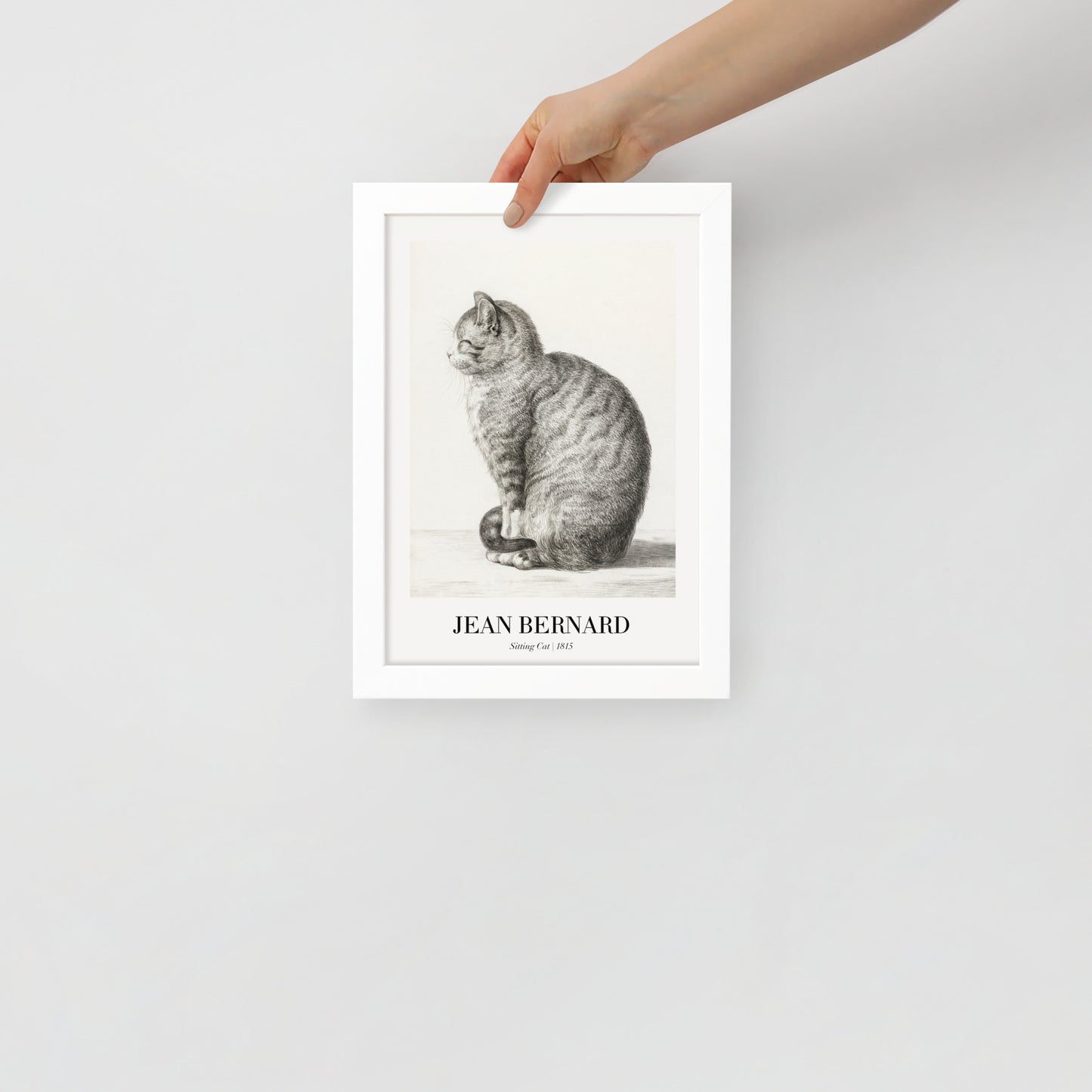 Sitzende Katze
