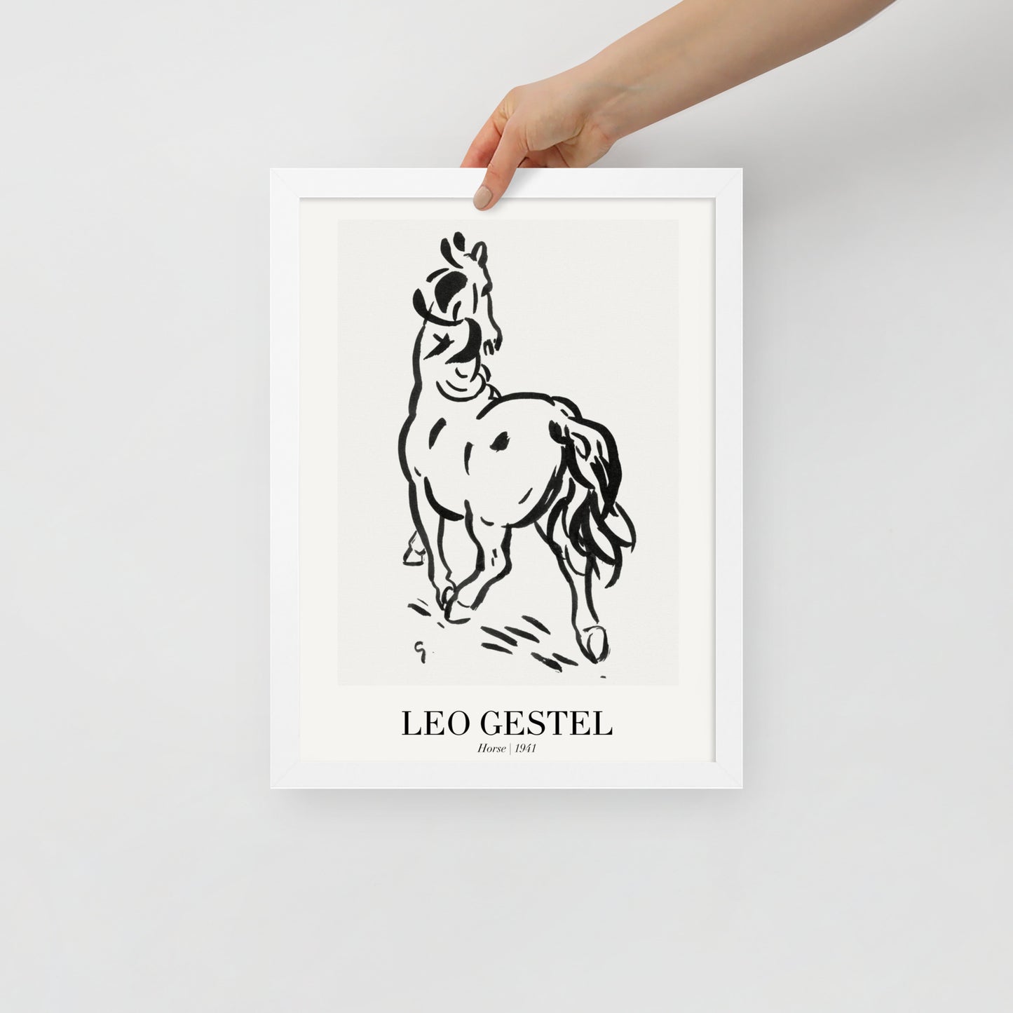 horse