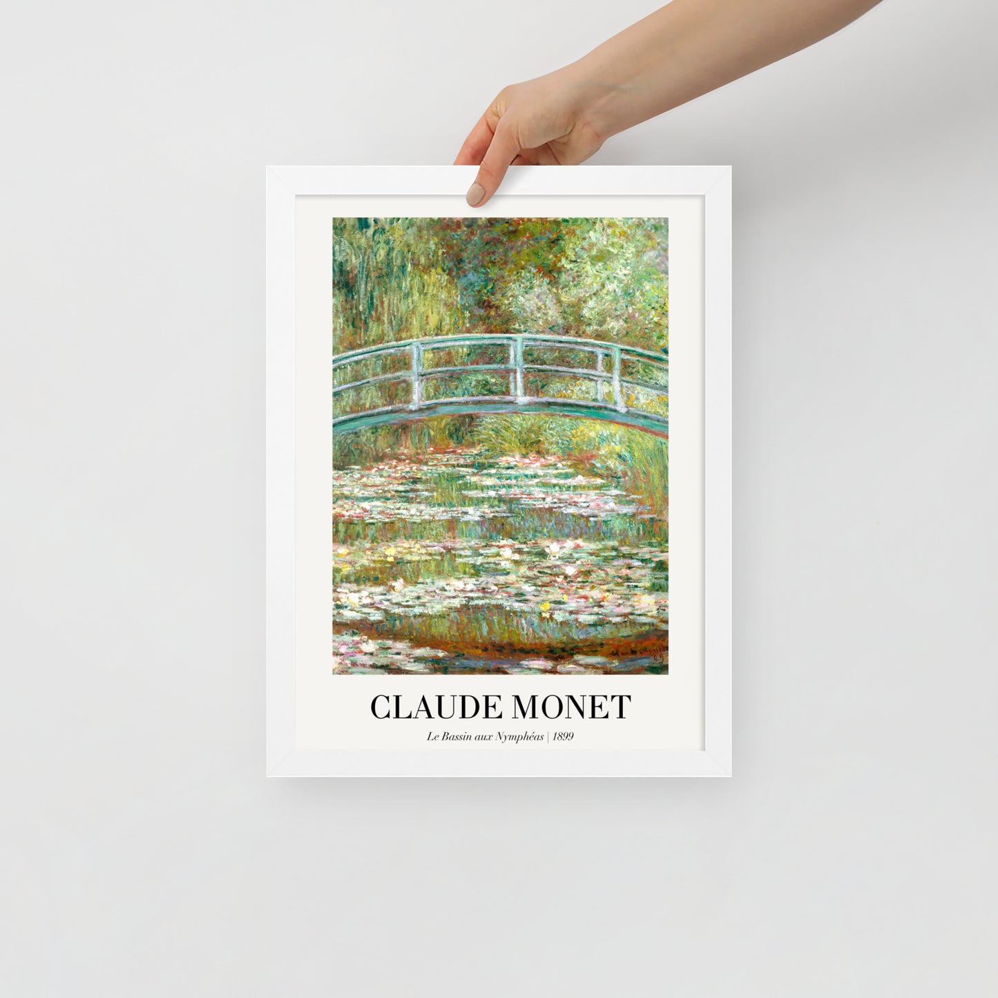 Water Lily Pond