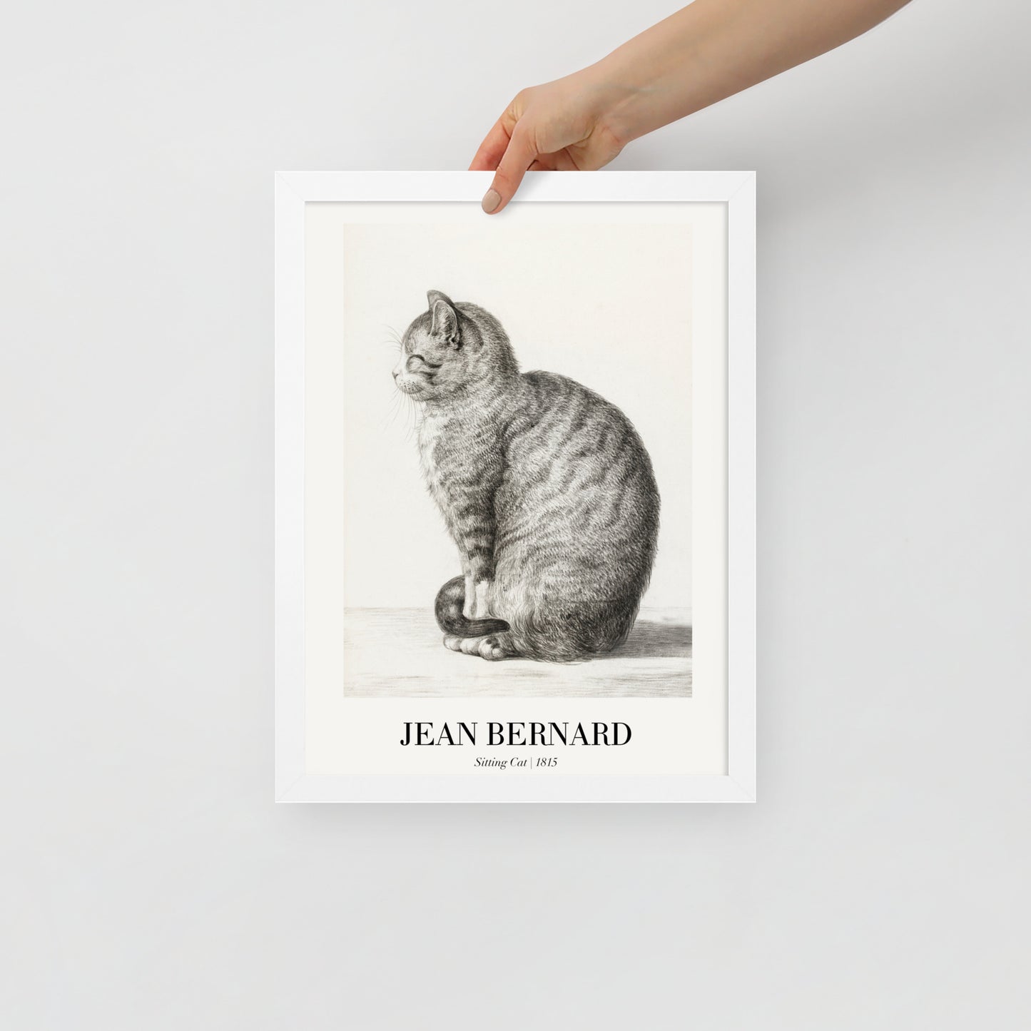 Sitzende Katze