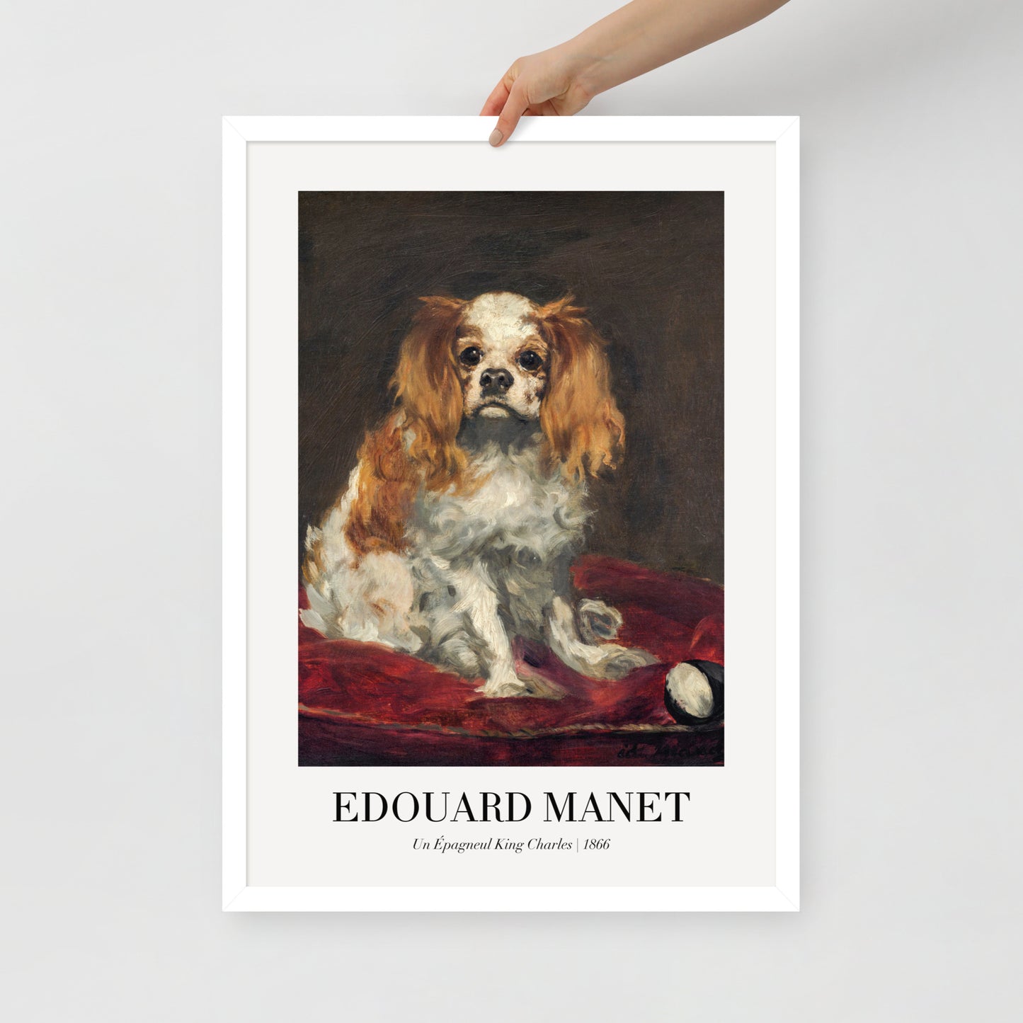 A King Charles Spaniel