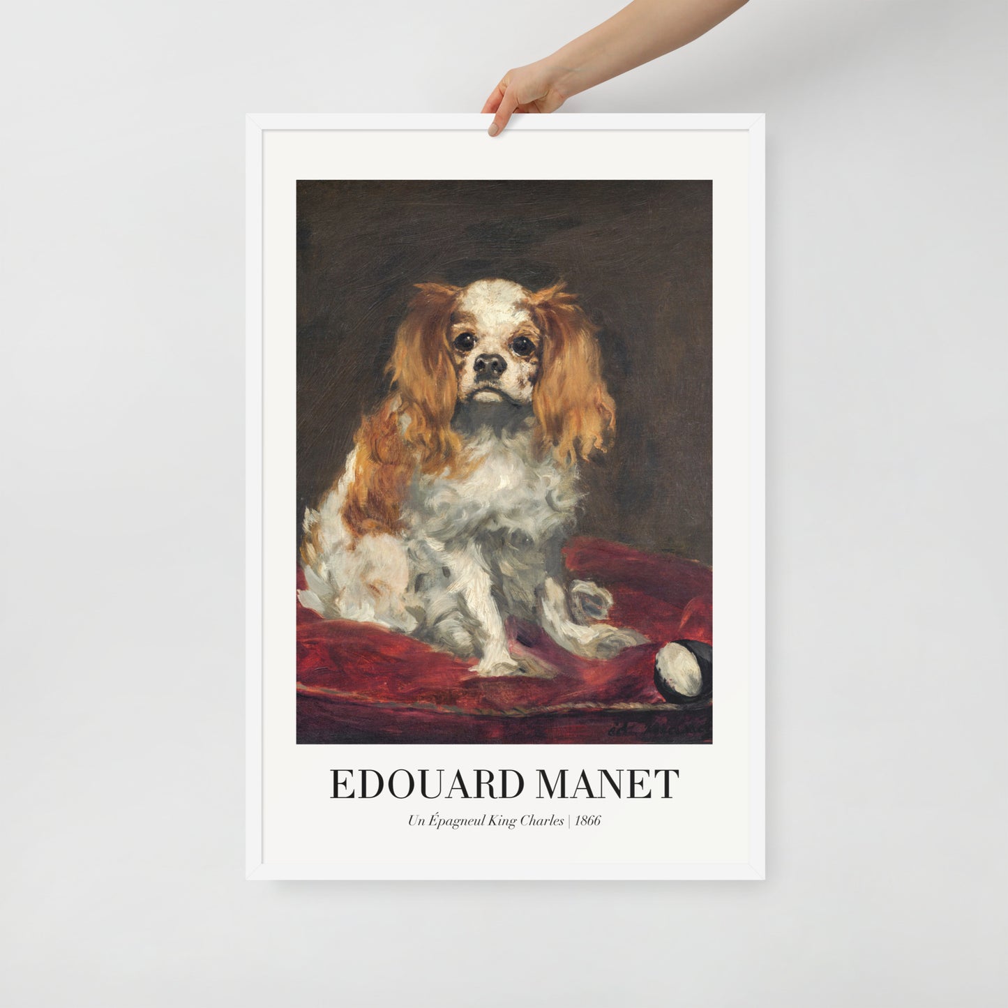 A King Charles Spaniel