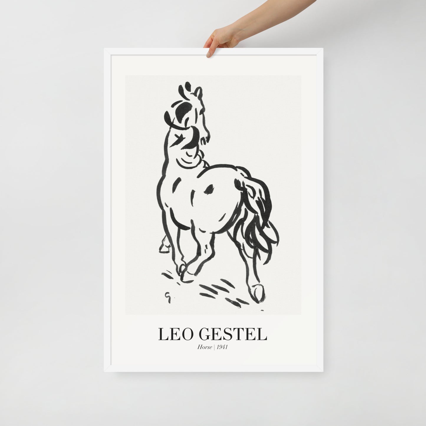 horse