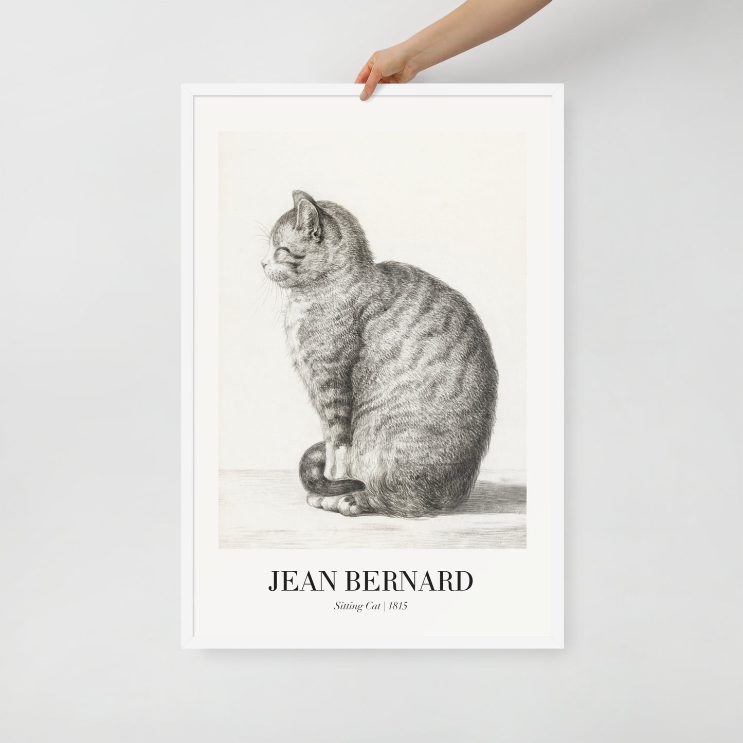 Sitzende Katze