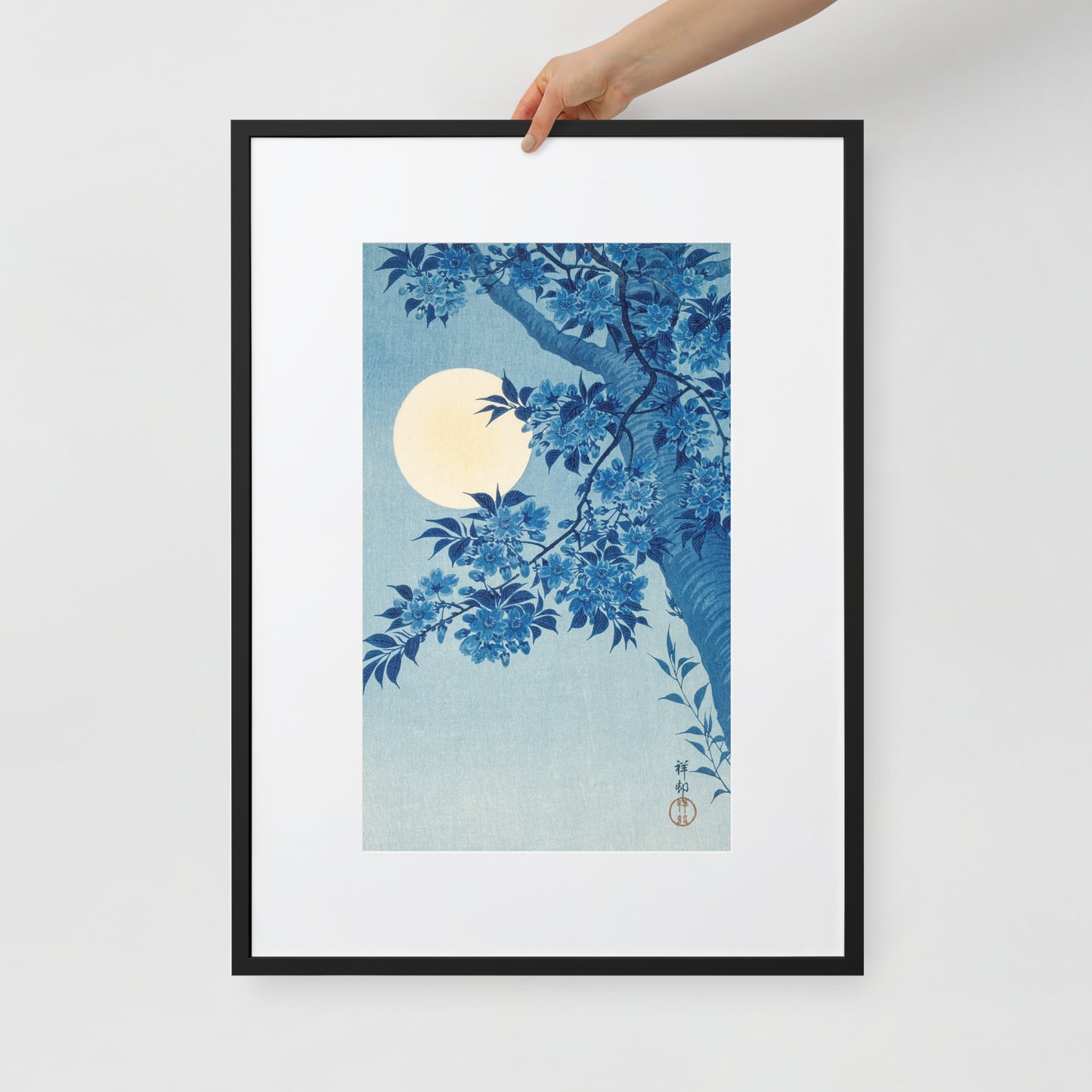 Blossoming Cherry