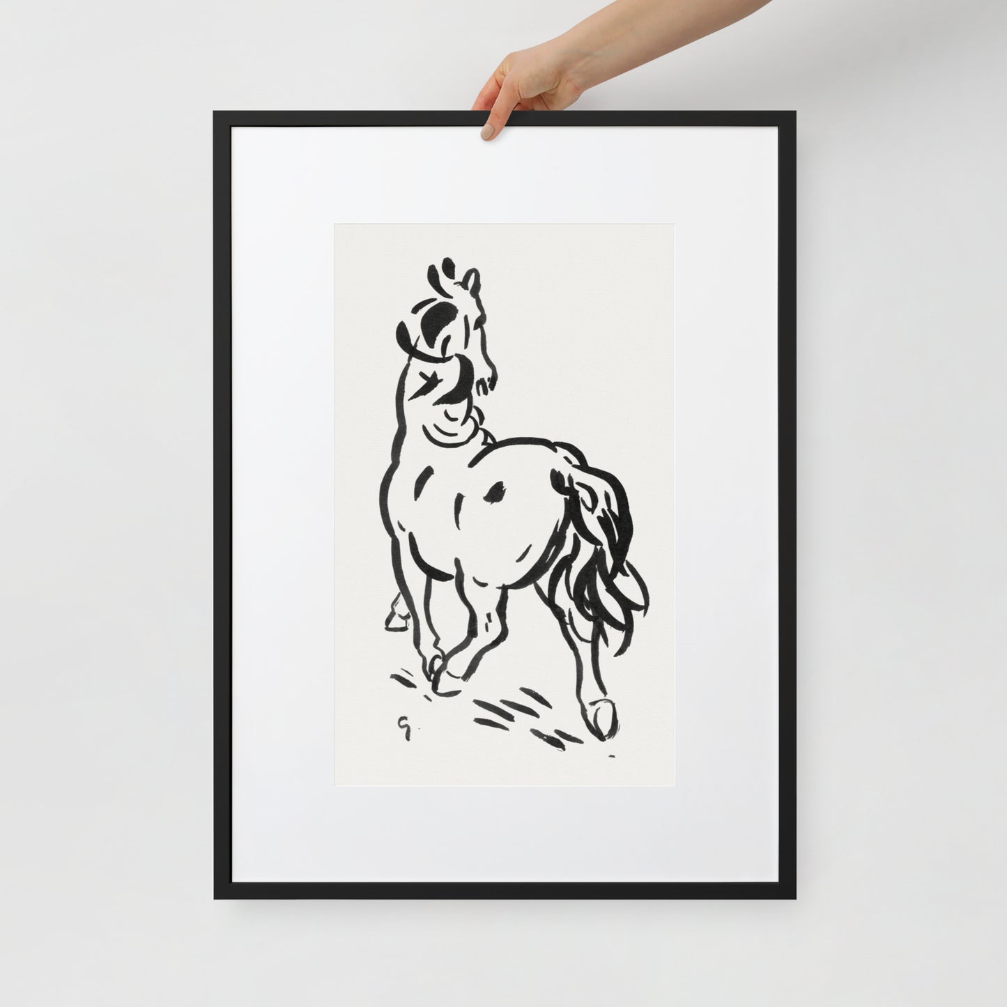 horse