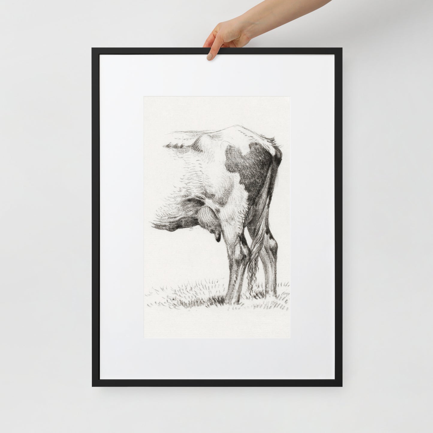 Back Legacies of a Cow