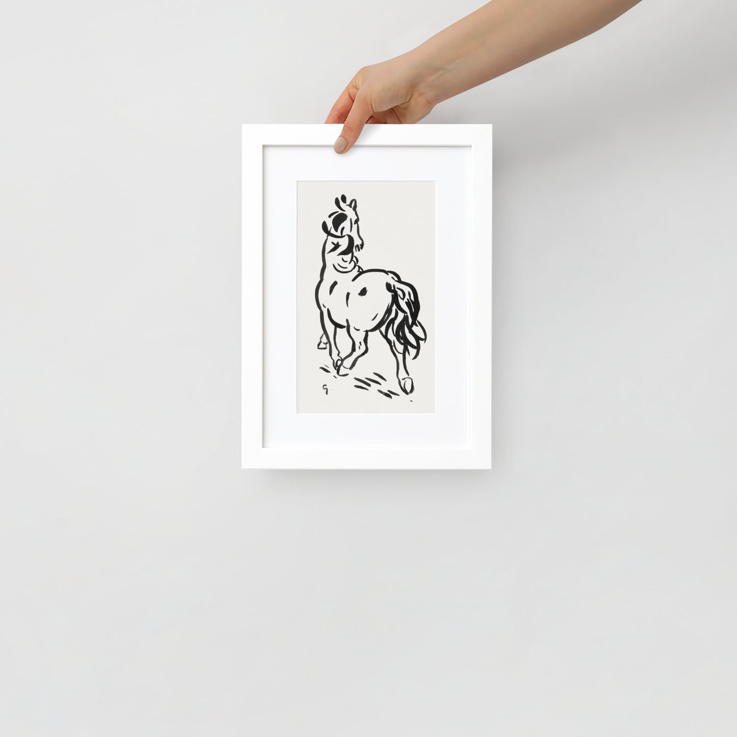 horse