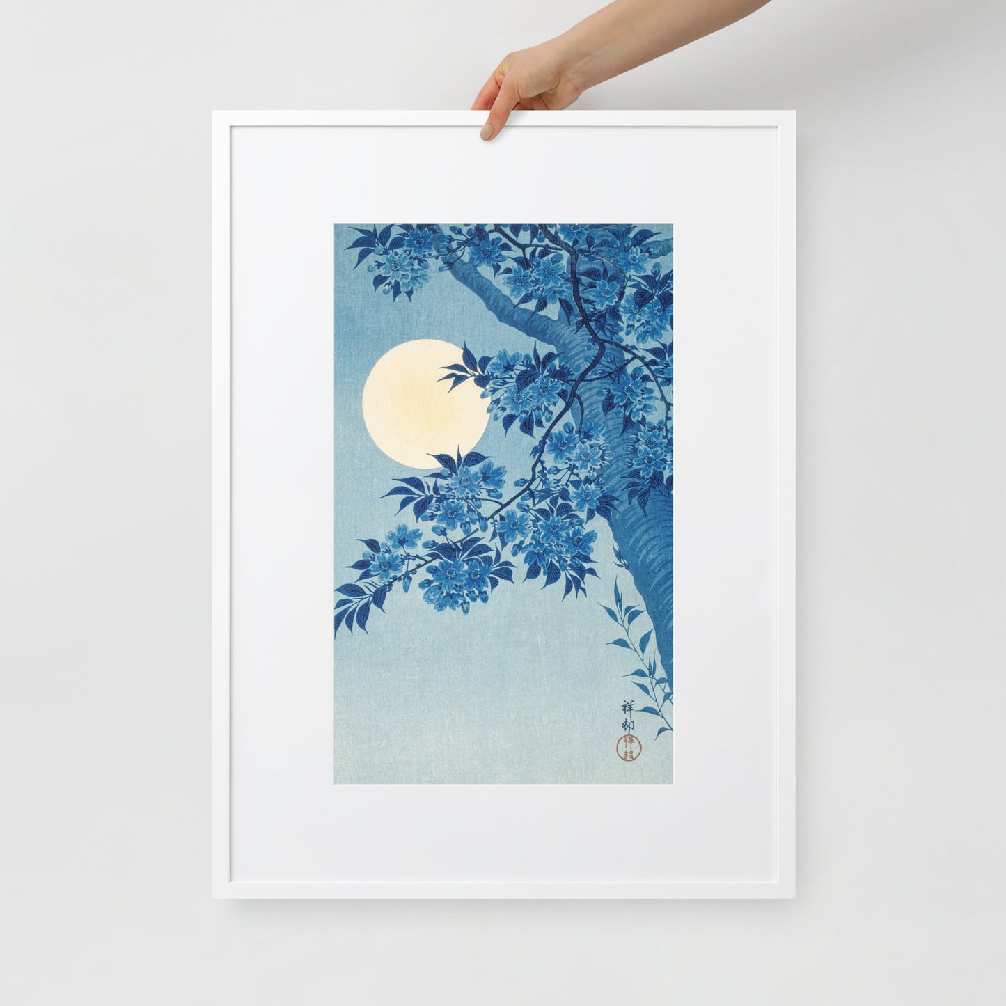 Blossoming Cherry