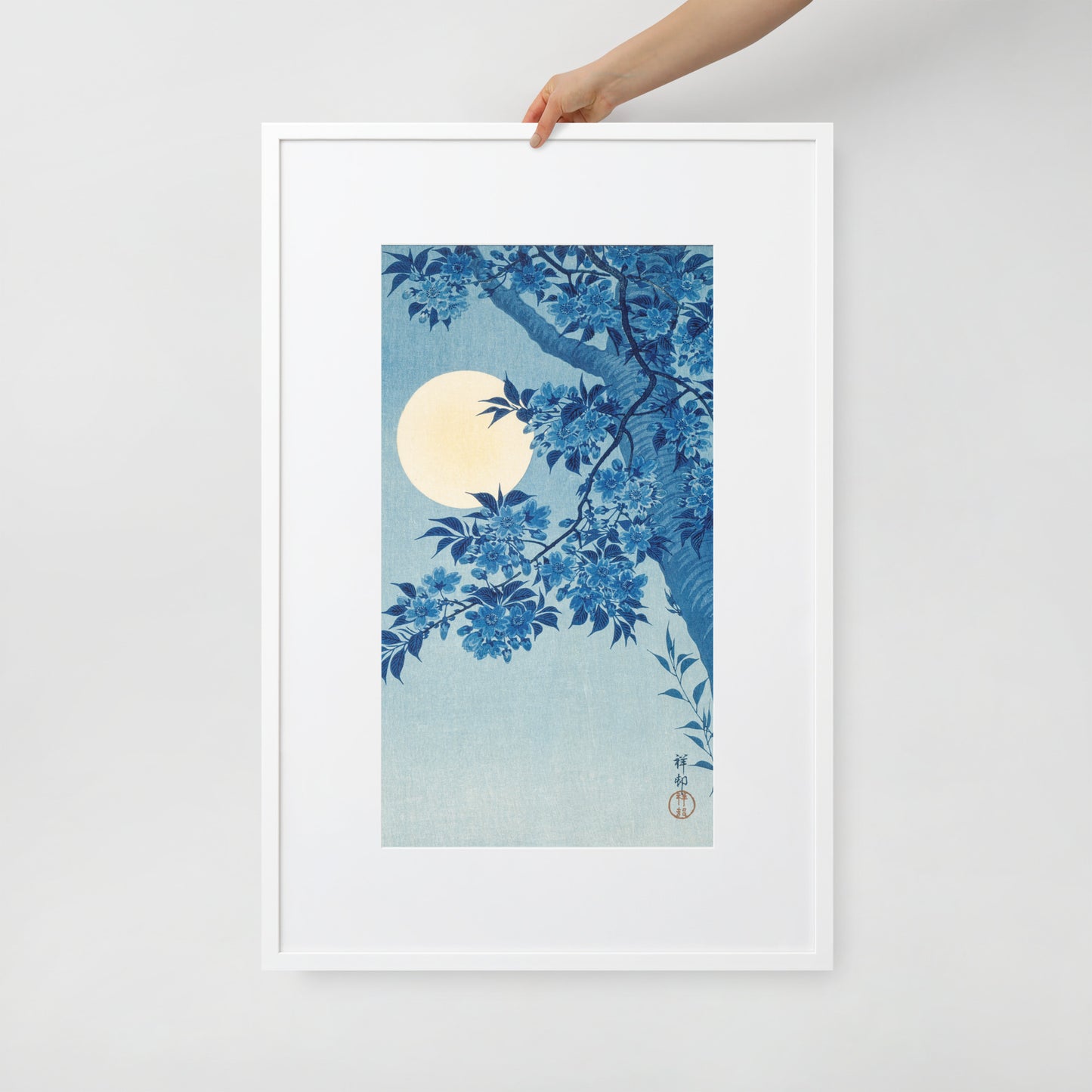 Blossoming Cherry