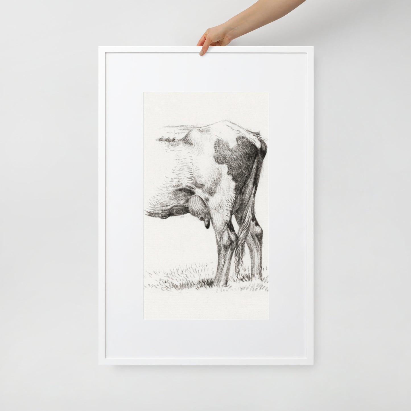 Back Legacies of a Cow