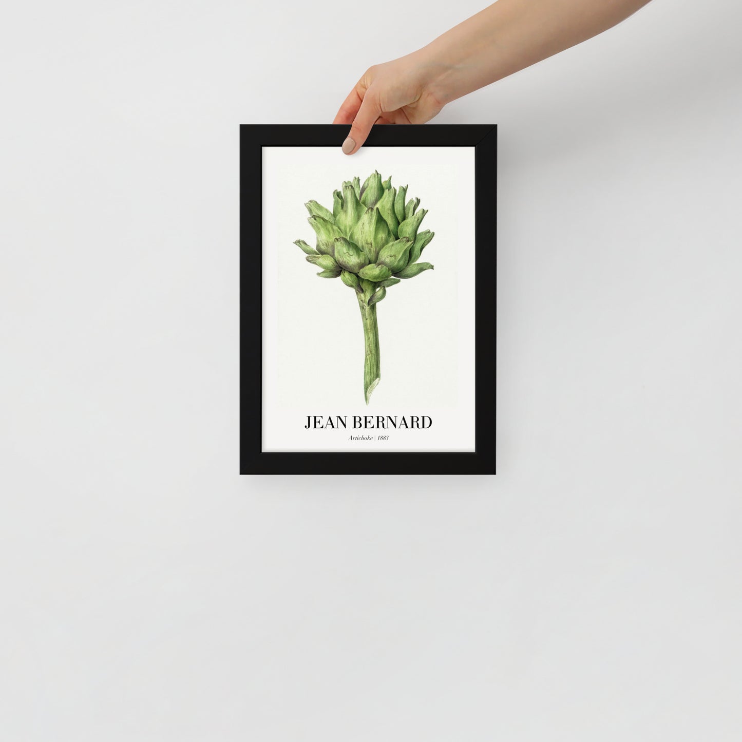 Artichoke