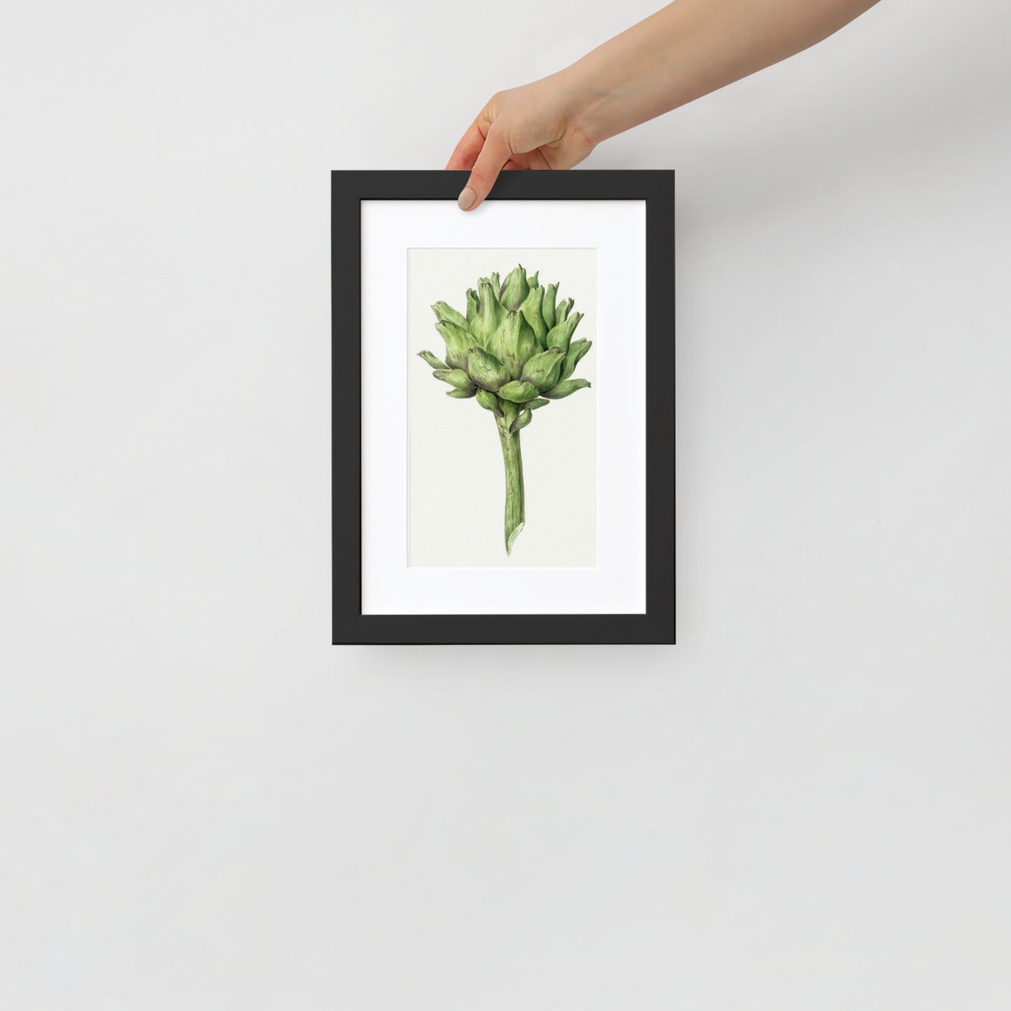 Artichoke