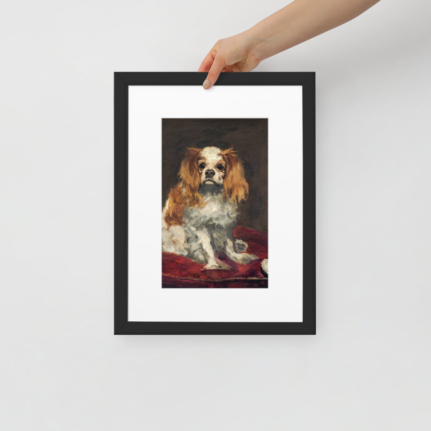 A King Charles Spaniel