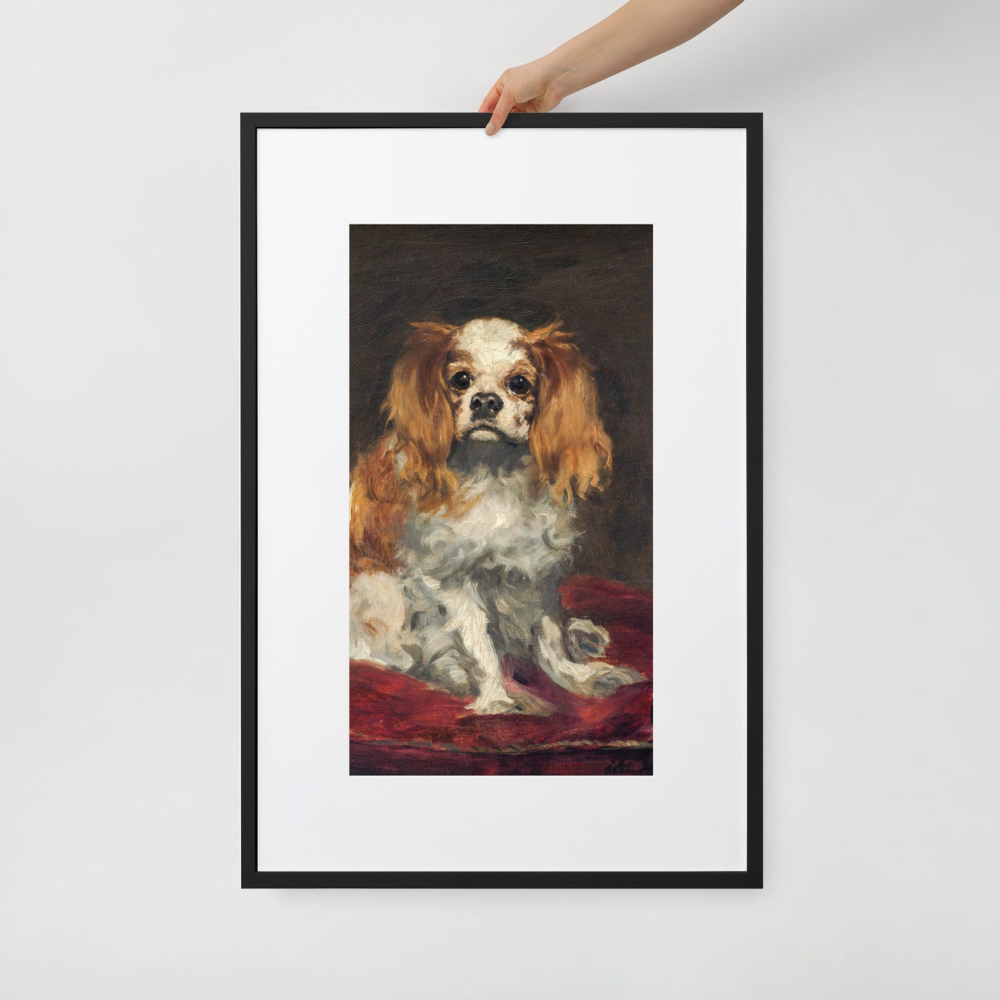 A King Charles Spaniel