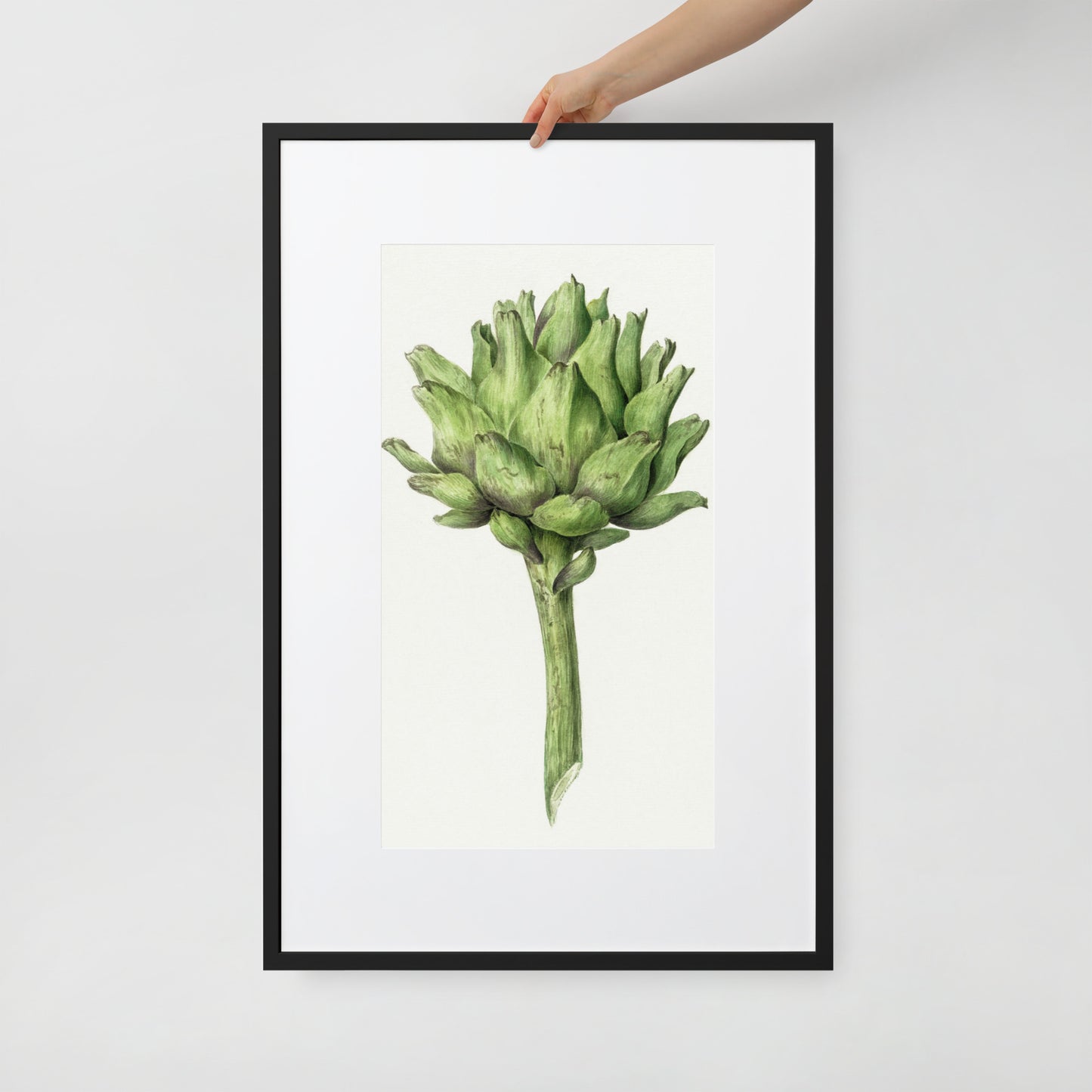 Artichoke