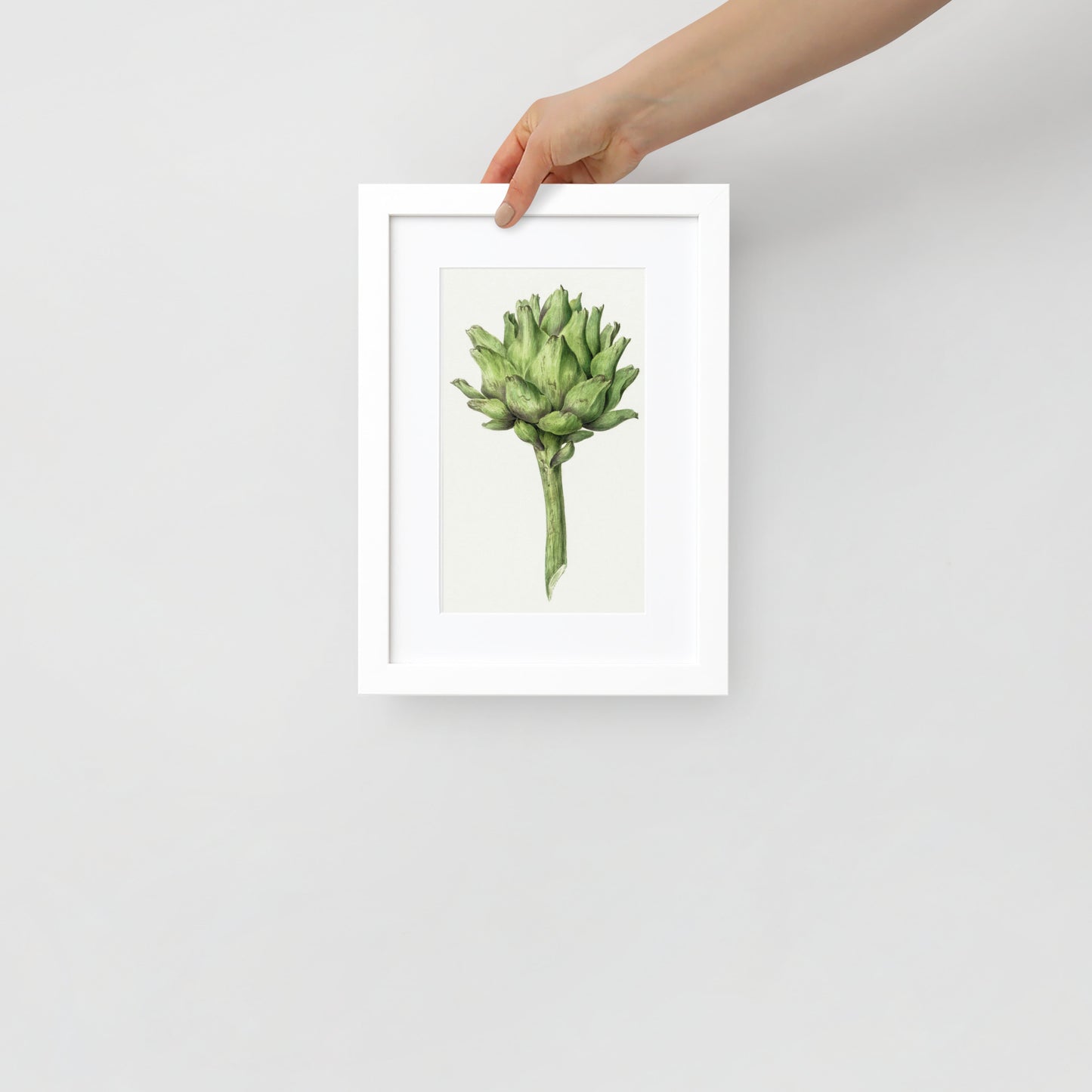 Artichoke