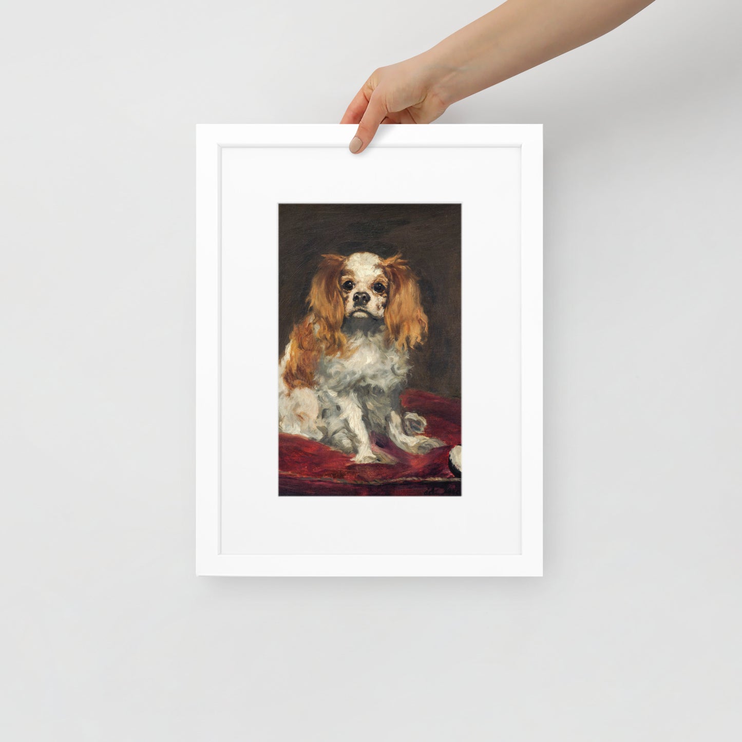 A King Charles Spaniel