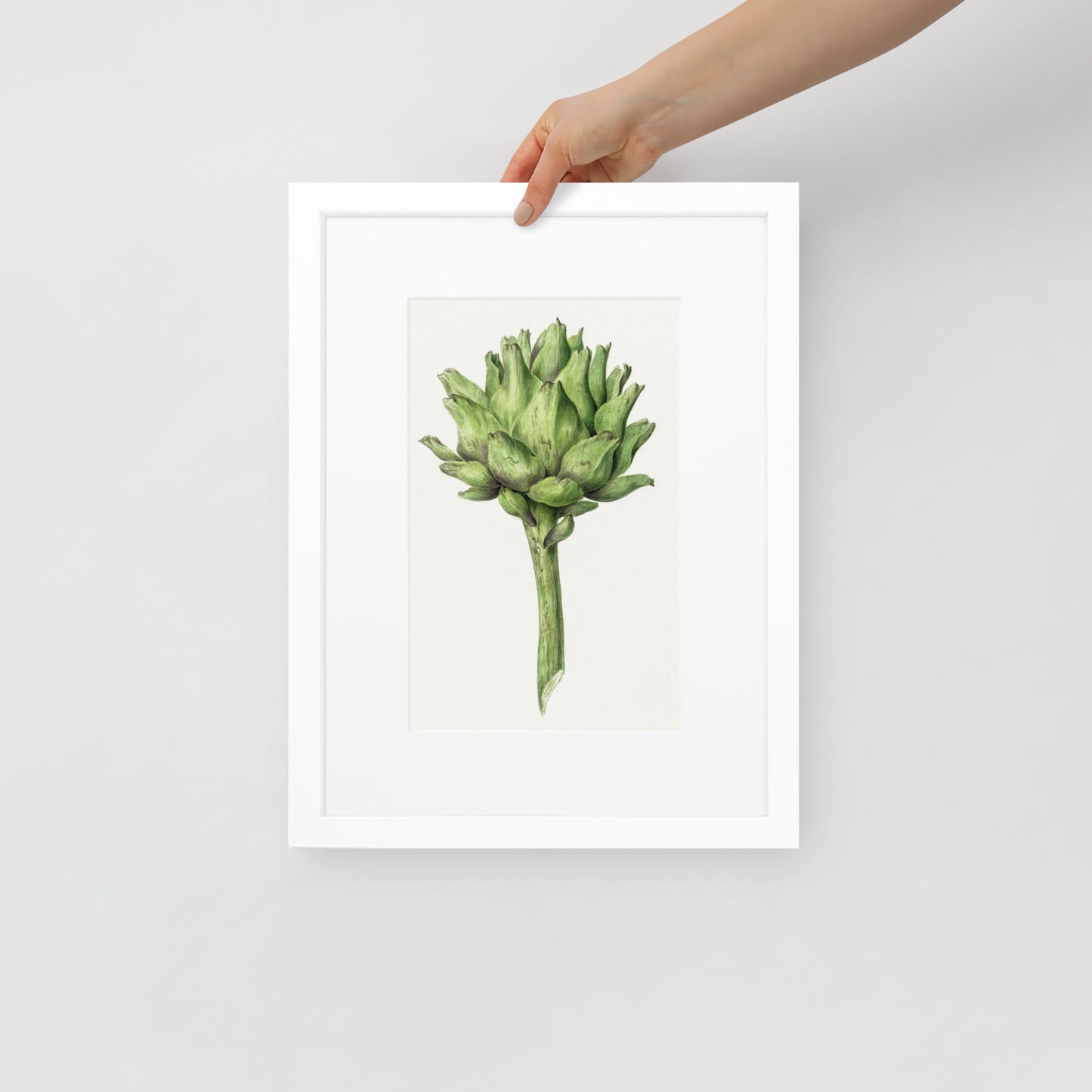 Artichoke